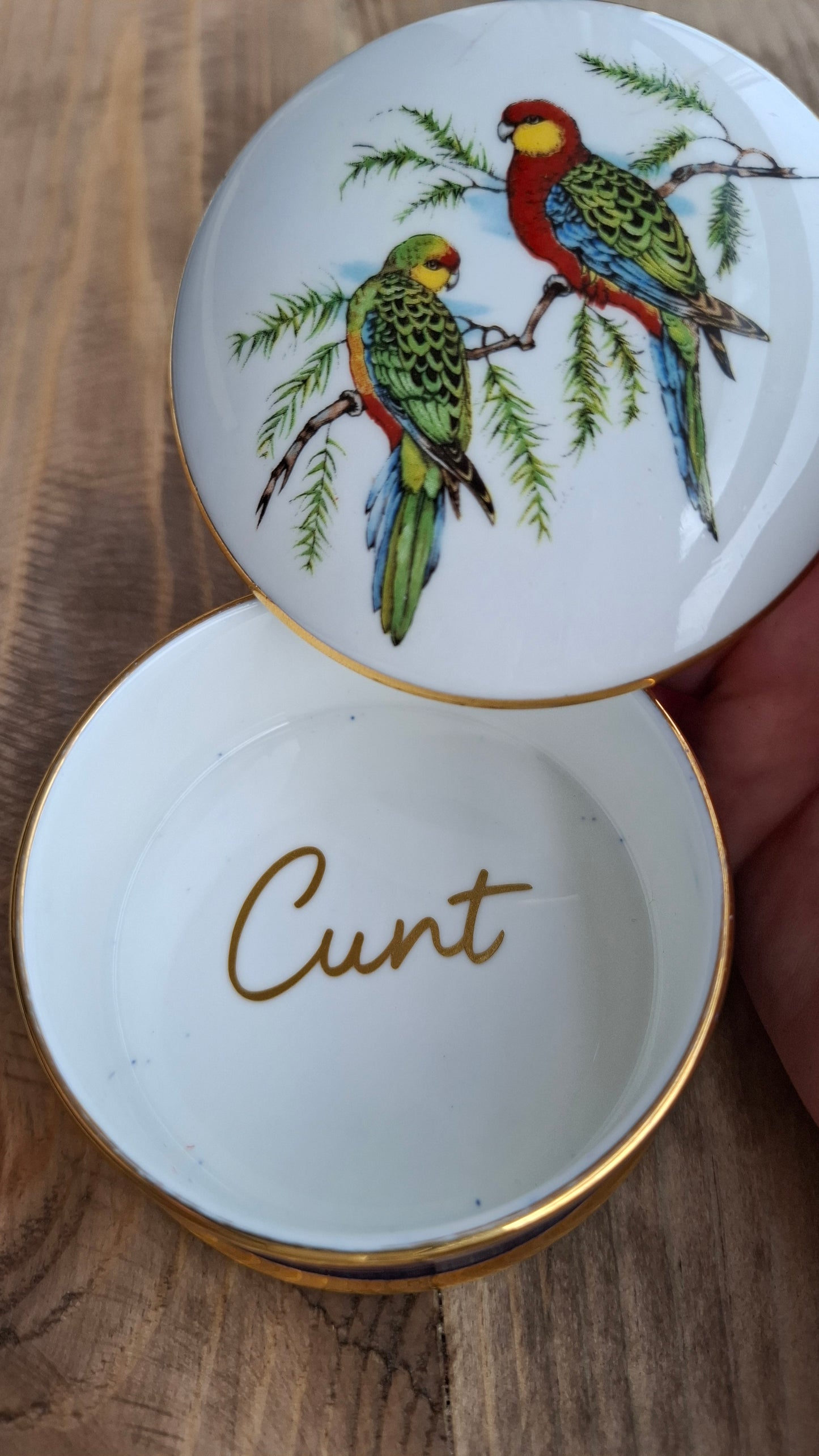 'Cunt' Upcycled Parrot Trinket Pot