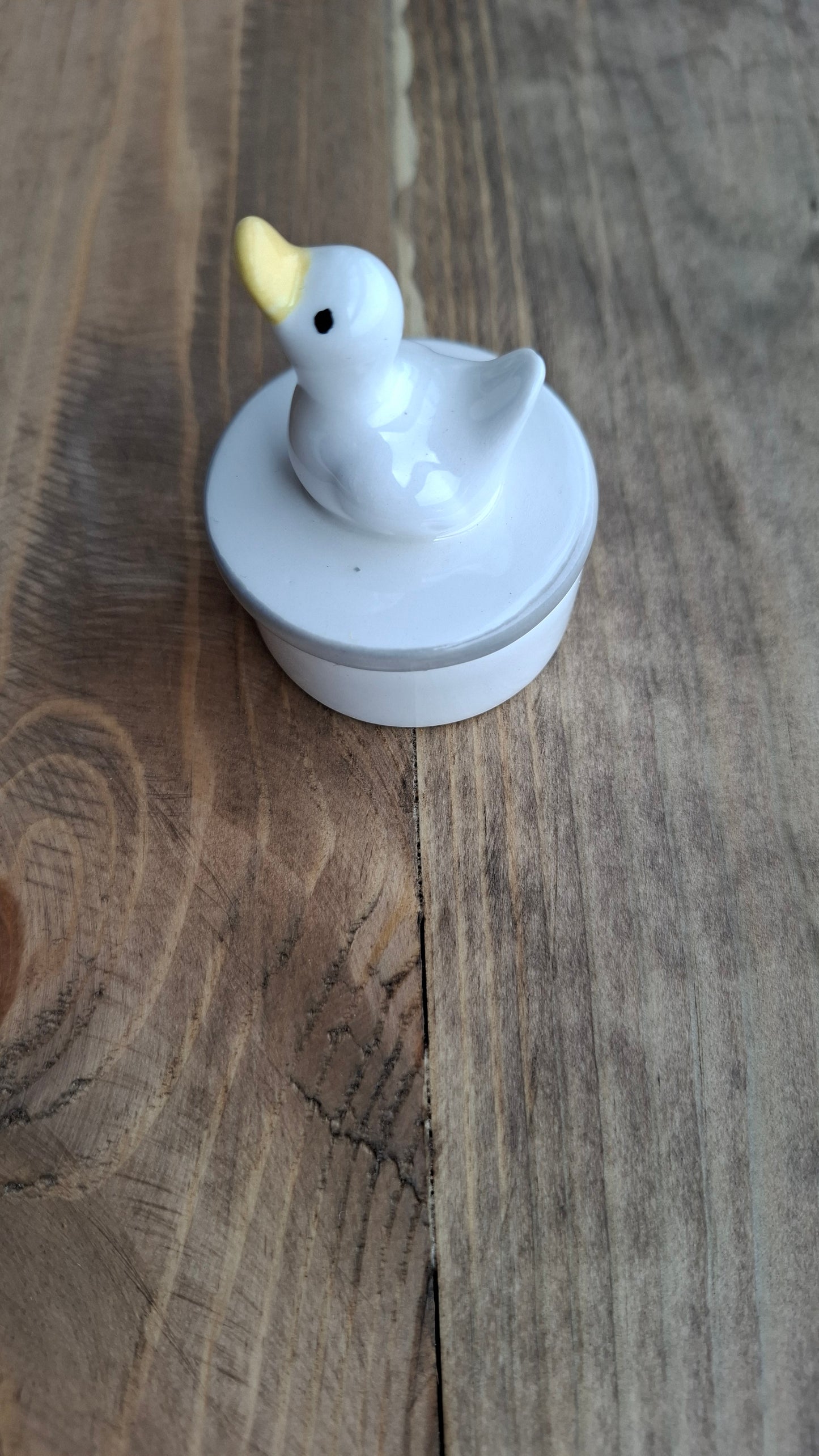 'Cunt' Upcycled Little Duck Trinket Pot