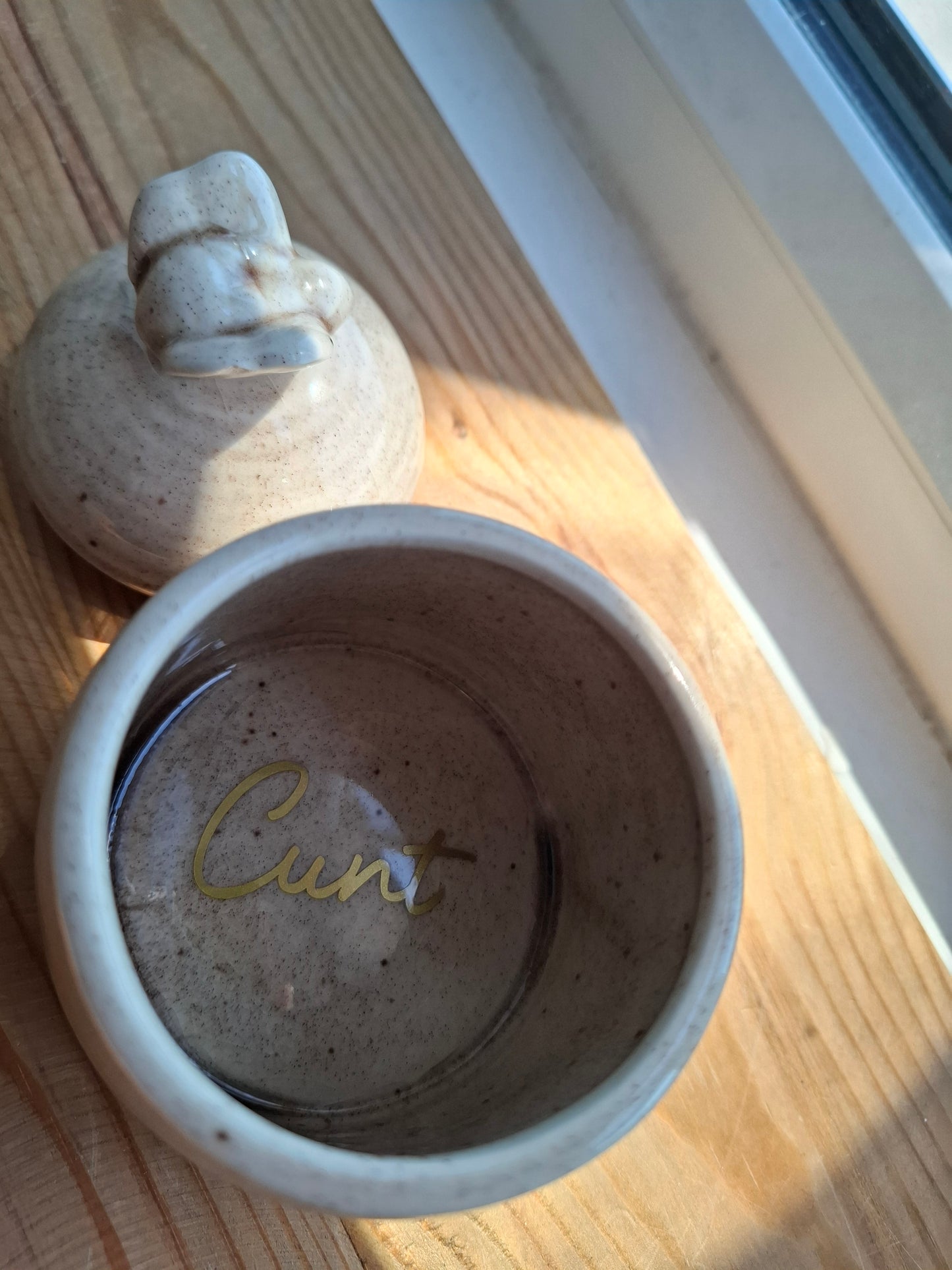 'Cunt' Upcycled Ceramic Bee Hive Pot