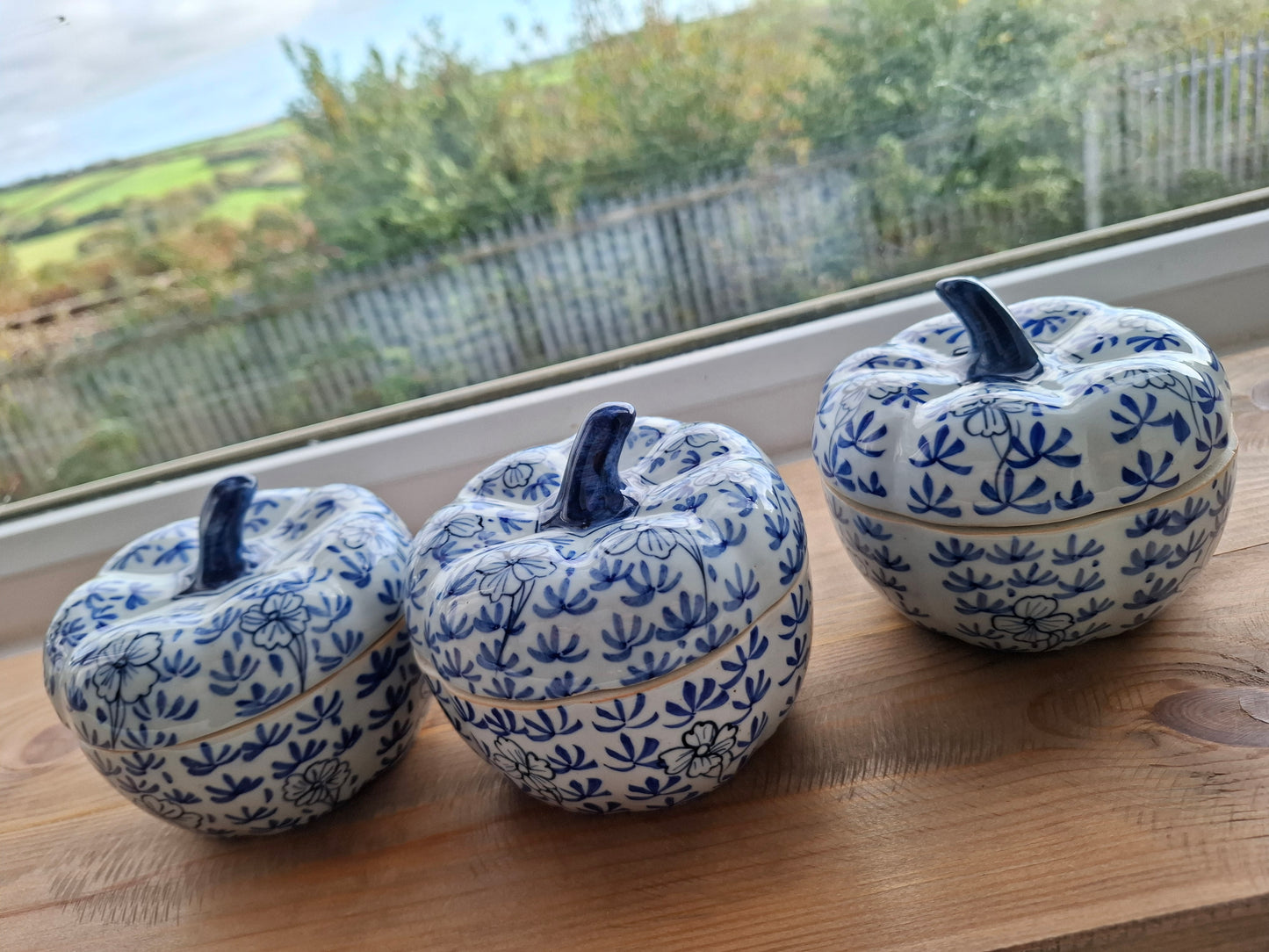 'Cunt' Upcycled Blue/White Pumpkin Trinket Pot