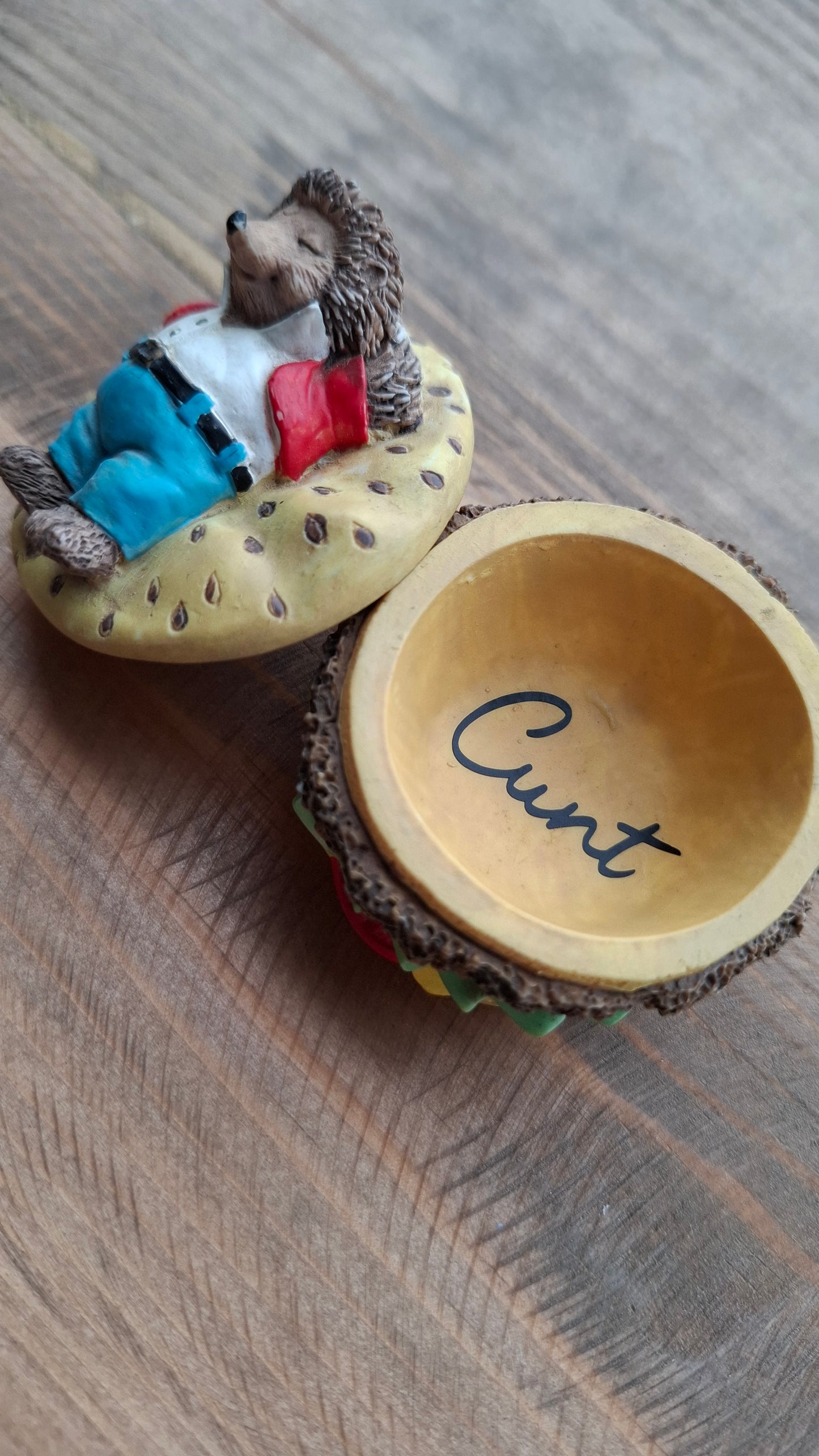 'Cunt' Upcycled Small Hedgehog Burger Trinket Pot