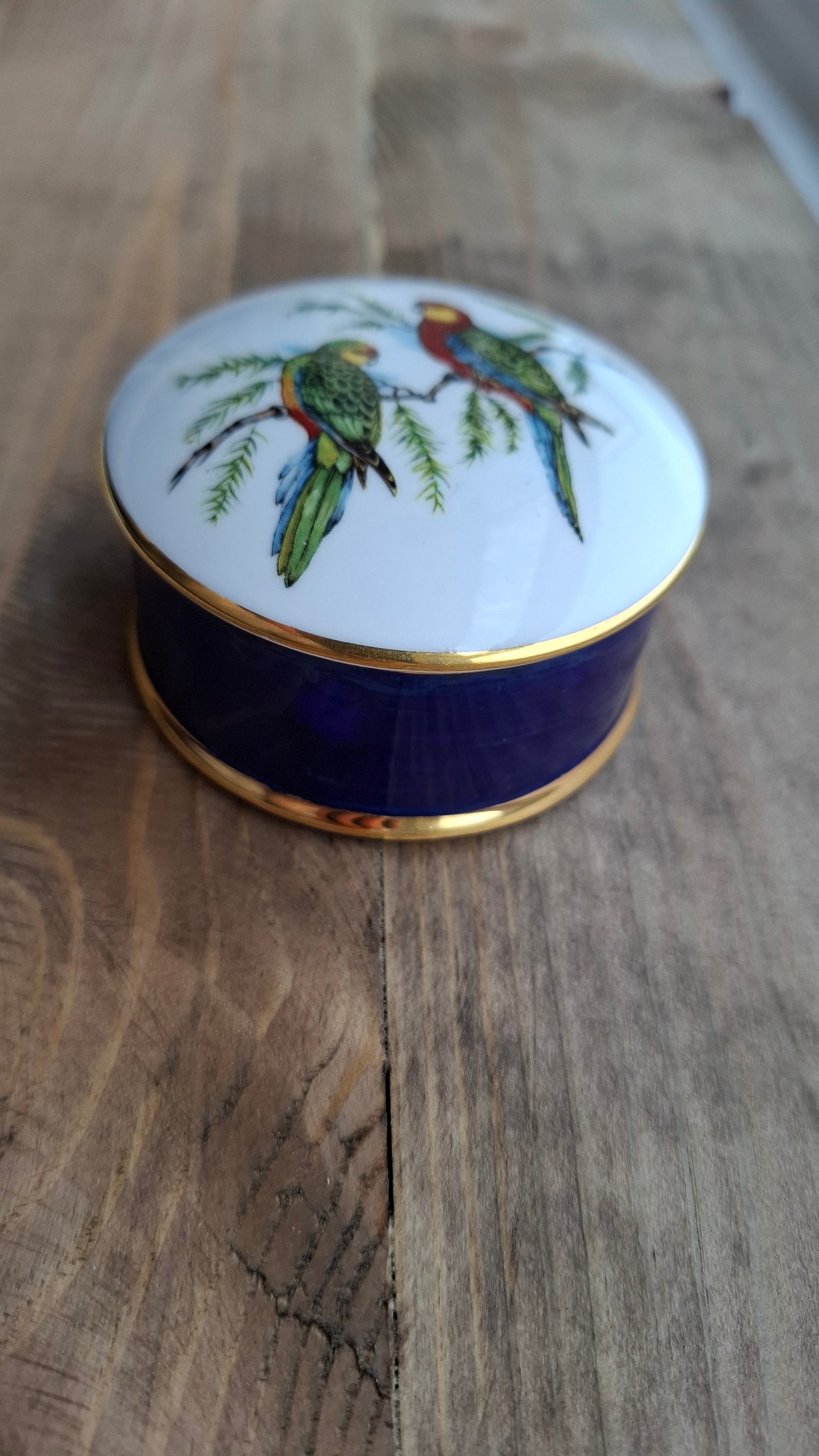 'Cunt' Upcycled Parrot Trinket Pot