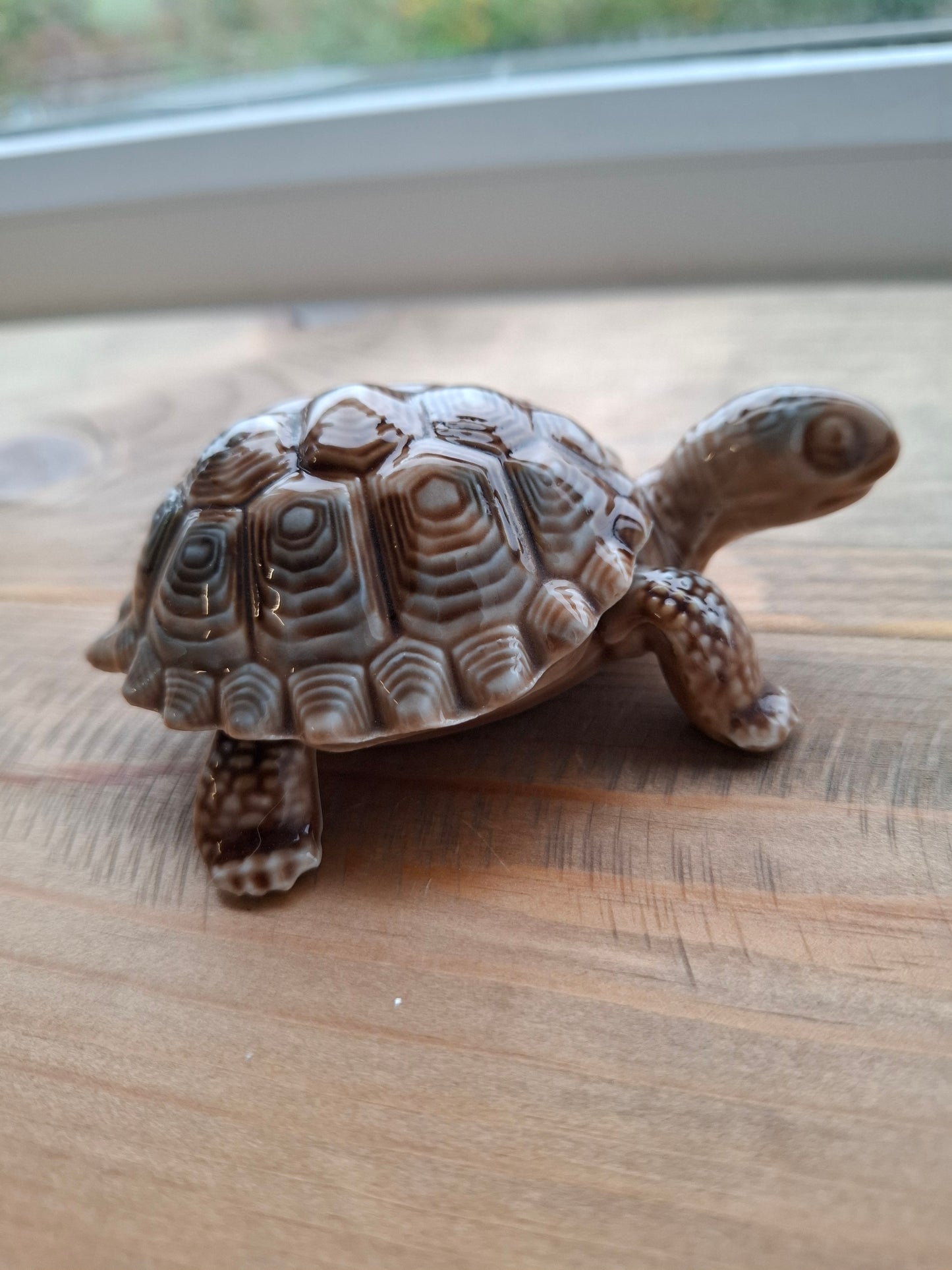 'Willy' Brown Wade Upcycled Tortoise Trinket Box