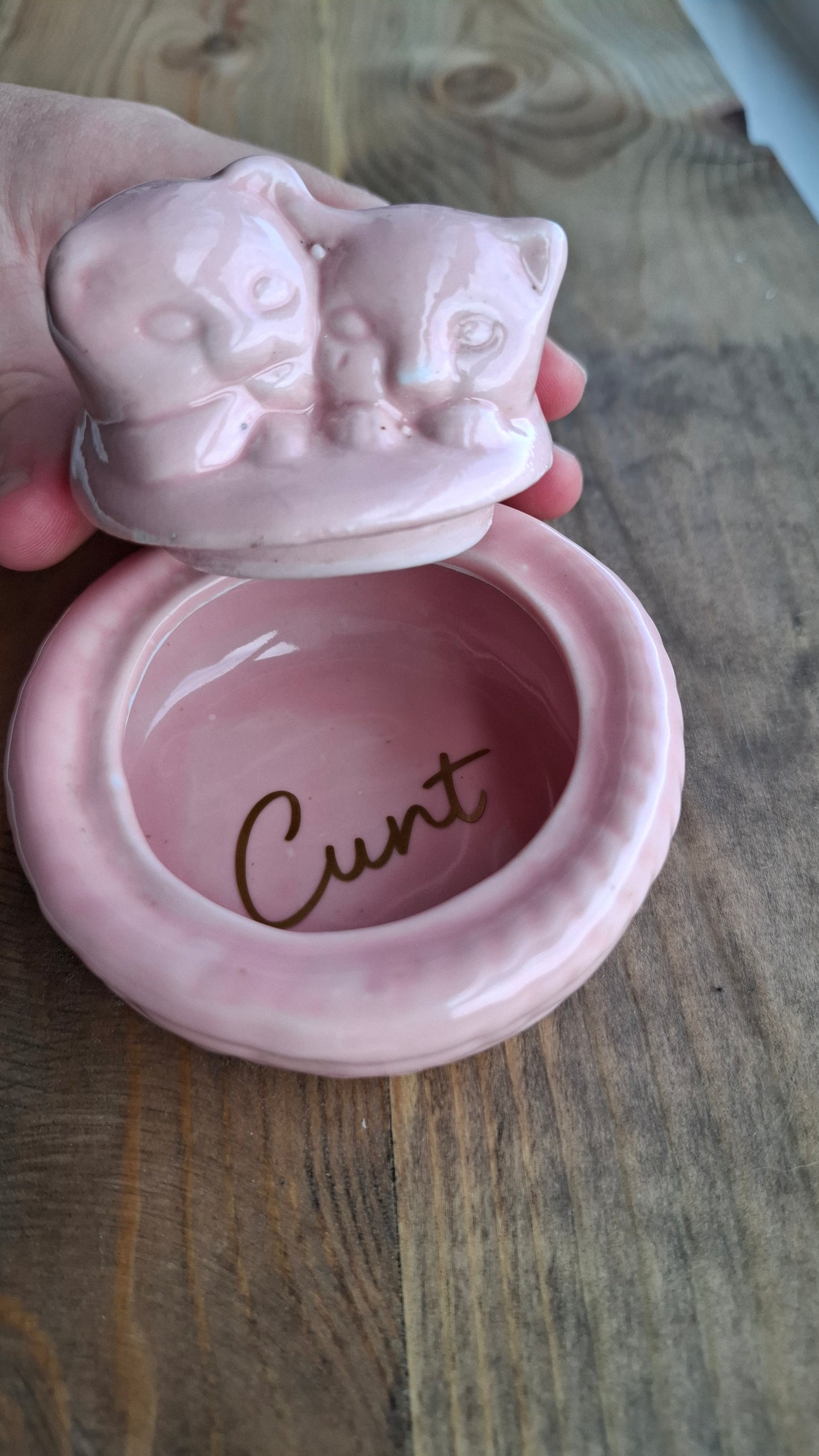 'Cunt' Upcycled Pink Cats in Basket Trinket Pot