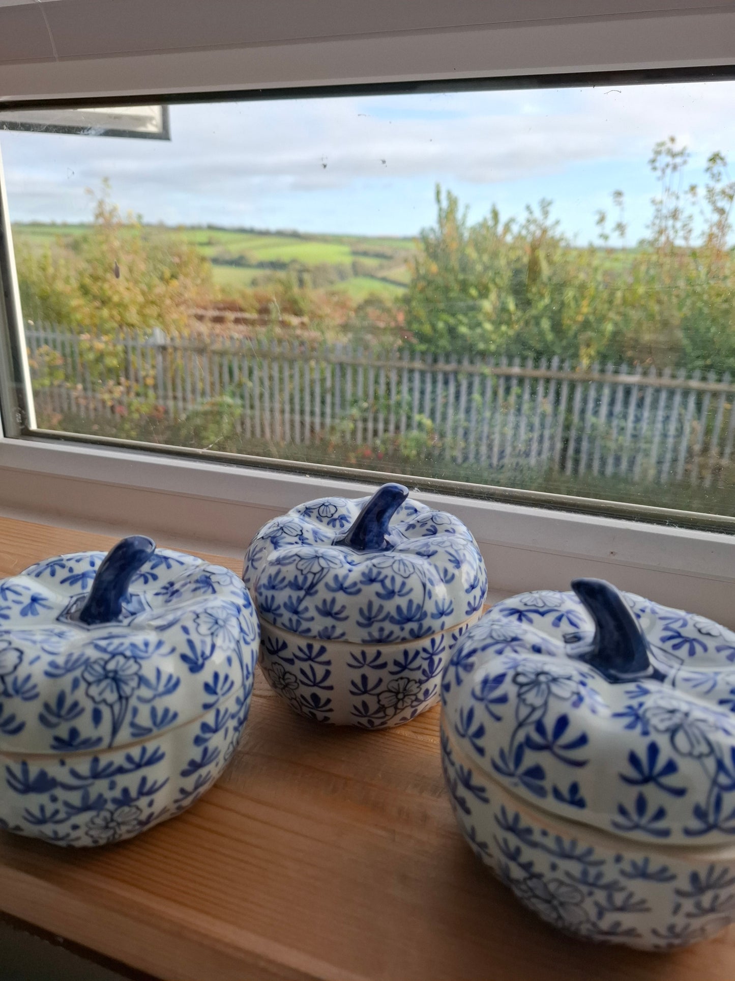 'Cunt' Upcycled Blue/White Pumpkin Trinket Pot