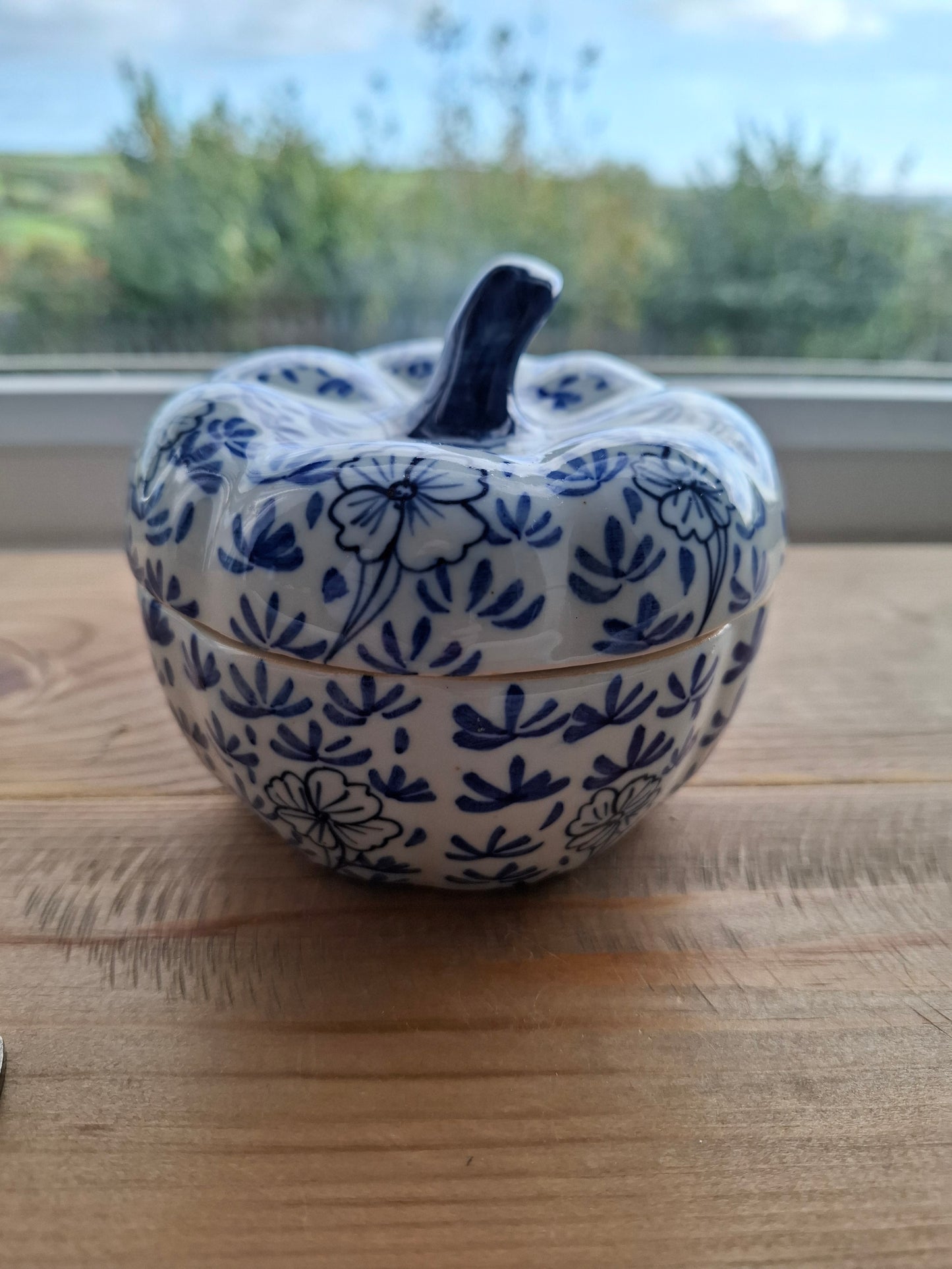 'Cunt' Upcycled Blue/White Pumpkin Trinket Pot