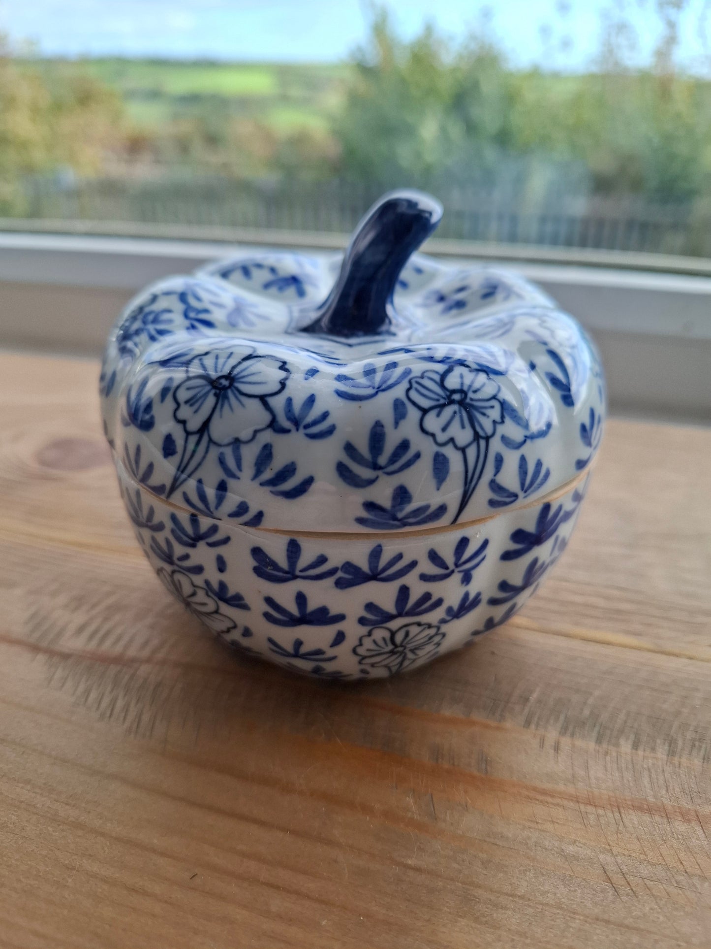 'Cunt' Upcycled Blue/White Pumpkin Trinket Pot