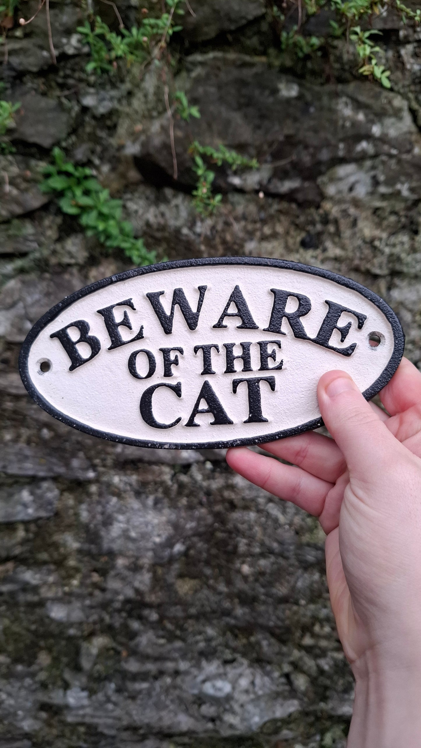 'Beware of the Cat' Outdoor Sign
