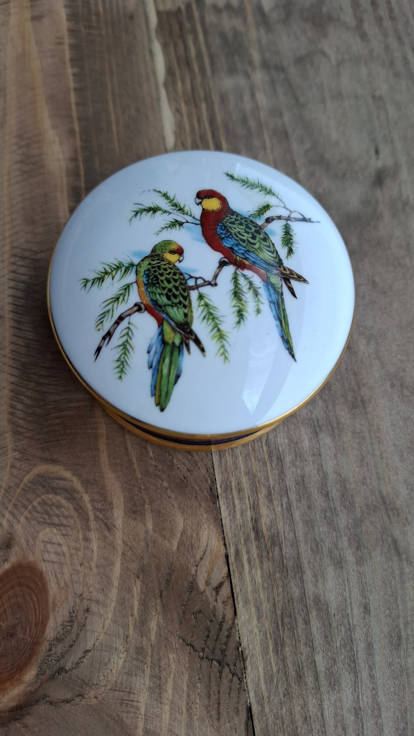 'Cunt' Upcycled Parrot Trinket Pot
