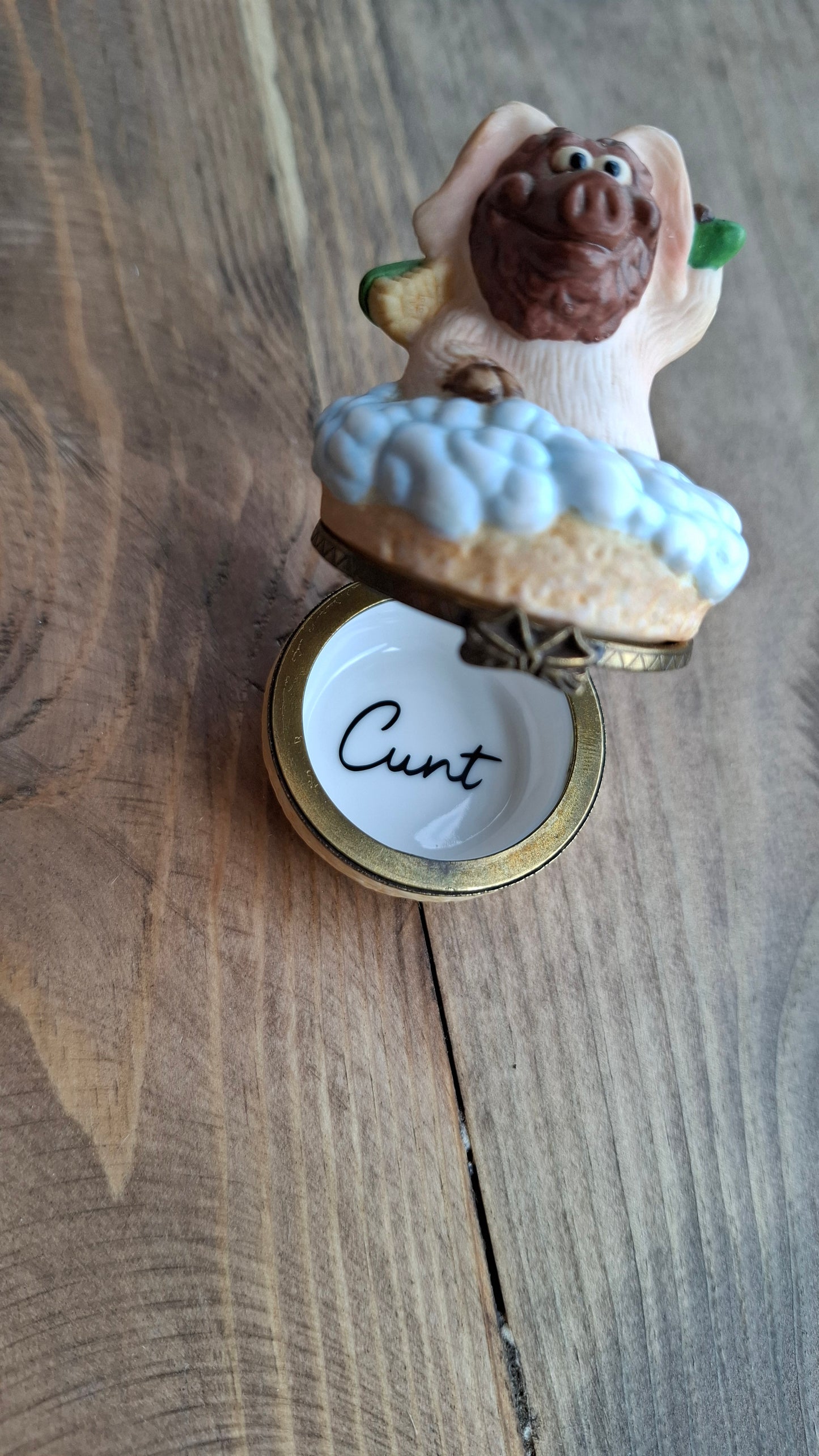 'Cunt' Upcycled Pig Having A Bath Mini Trinket Pot