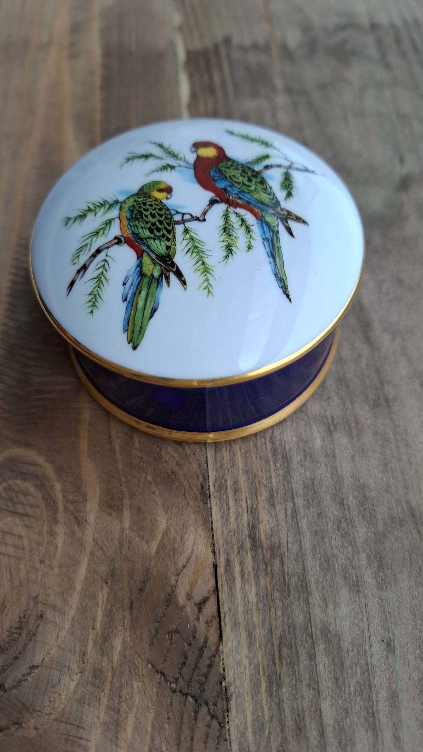 'Cunt' Upcycled Parrot Trinket Pot