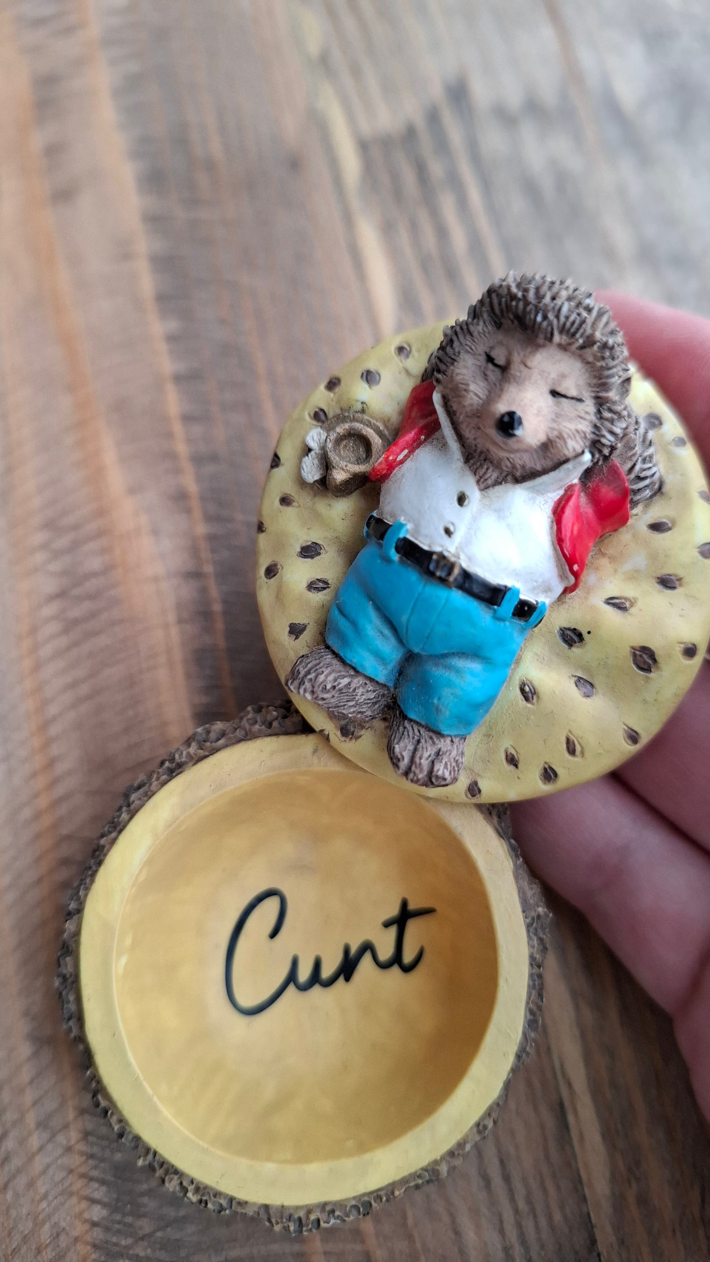 'Cunt' Upcycled Small Hedgehog Burger Trinket Pot