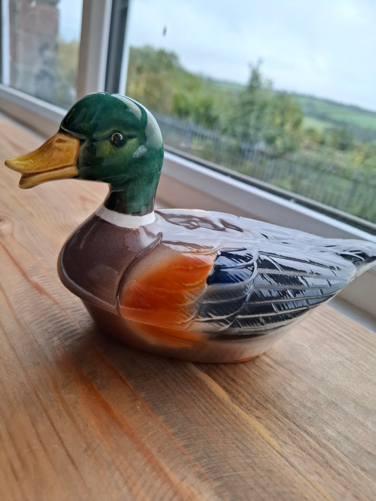 'Cunt' Upcycled Mallard Duck Trinket Pot