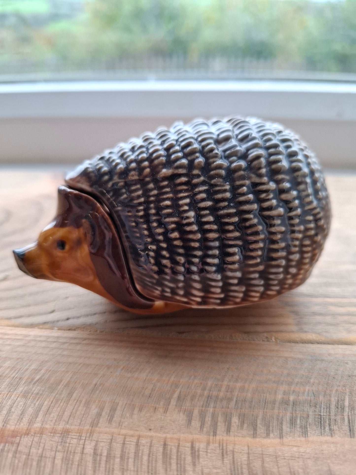 'Prick' Upcycled Wade Hedgehog Trinket Pot