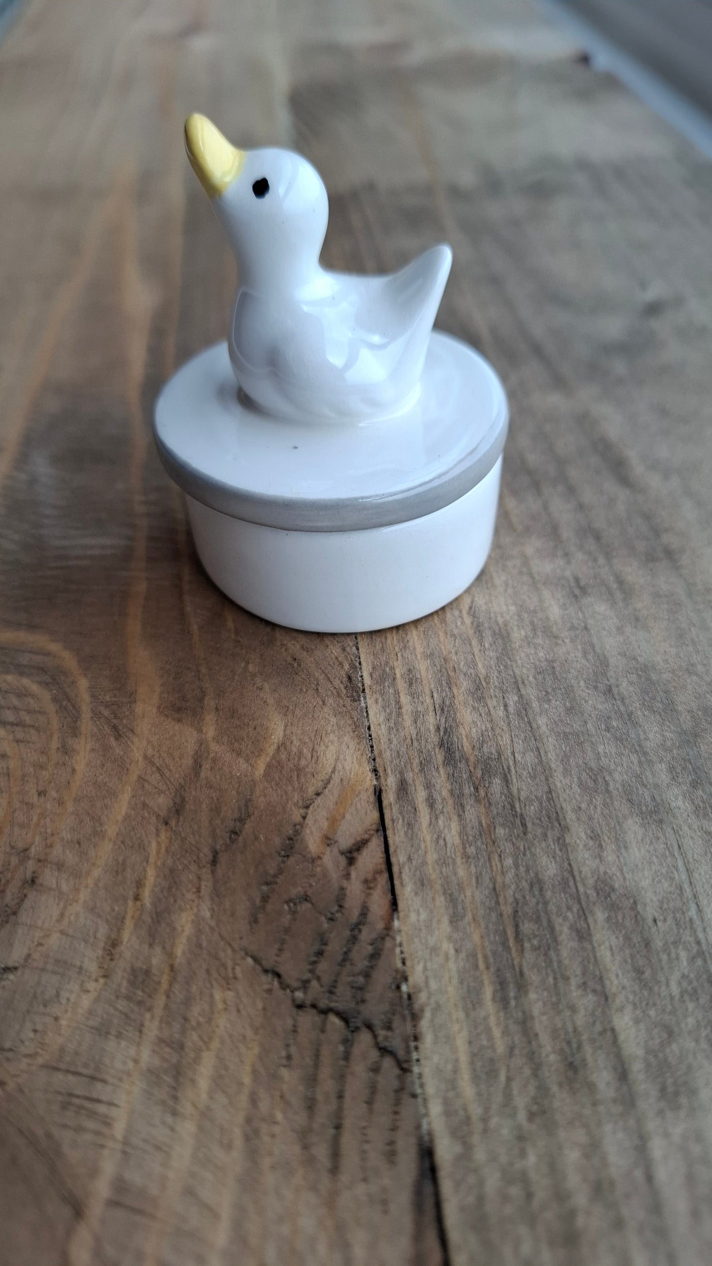 'Cunt' Upcycled Little Duck Trinket Pot