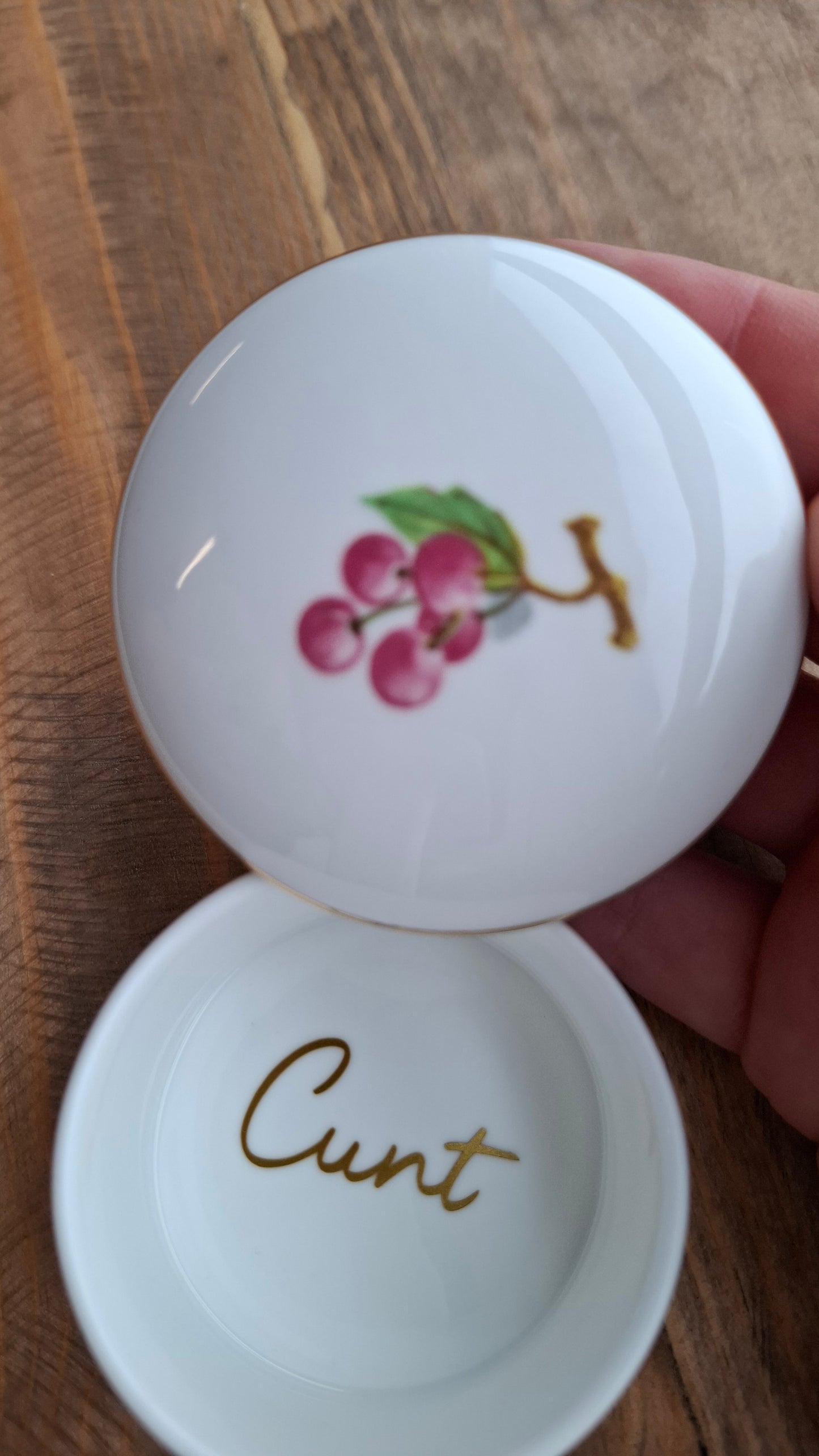 'Cunt' Upcycled Small Insect Trinket Pot