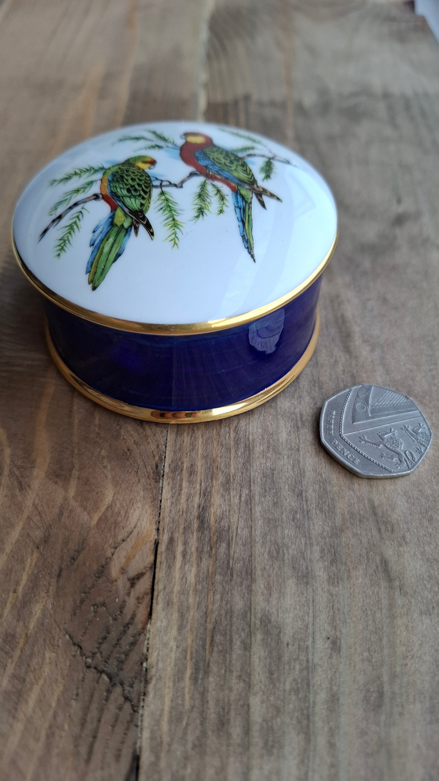 'Cunt' Upcycled Parrot Trinket Pot