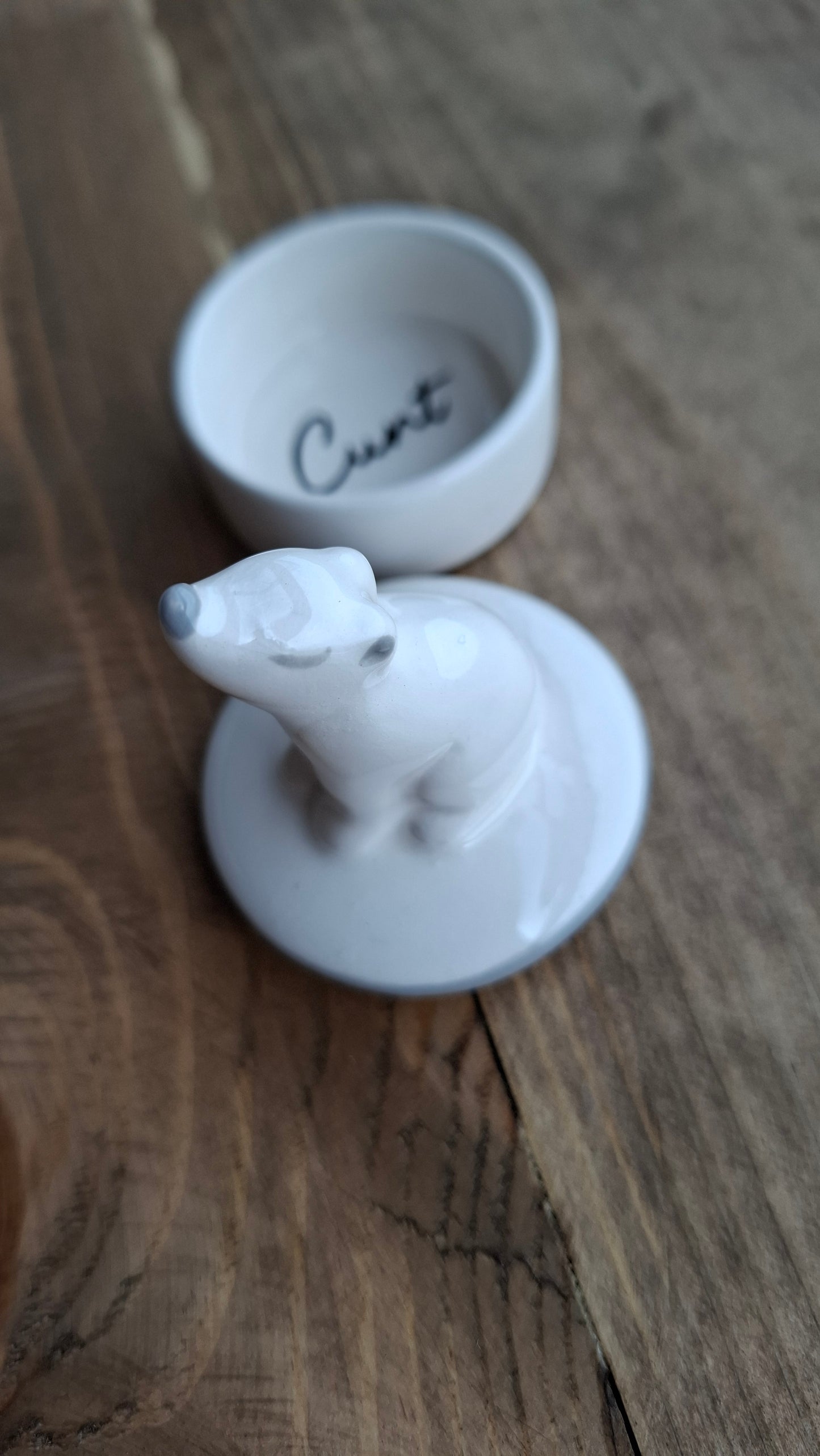 'Cunt' Upcycled Bear Trinket Pot
