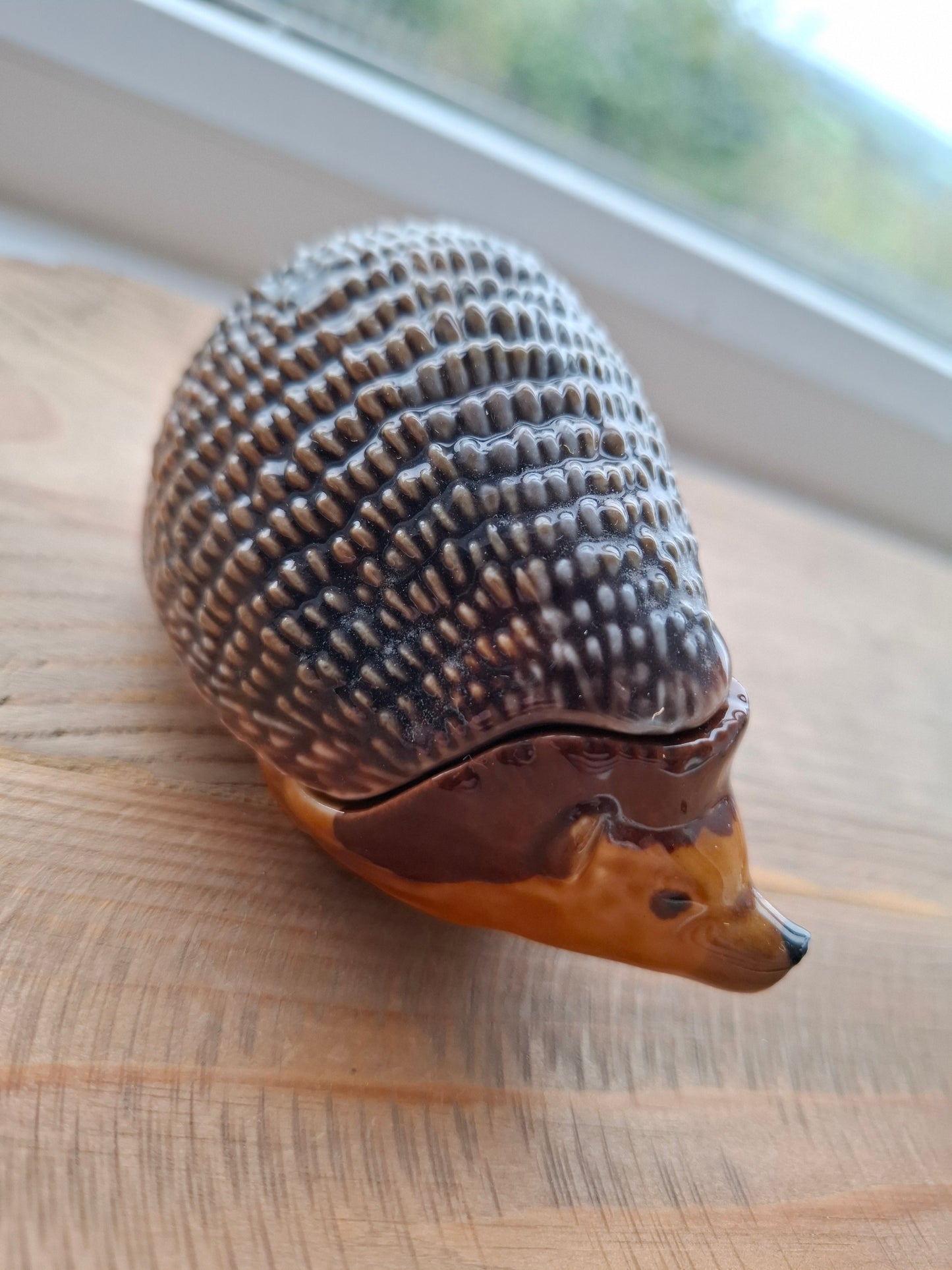'Prick' Upcycled Wade Hedgehog Trinket Pot