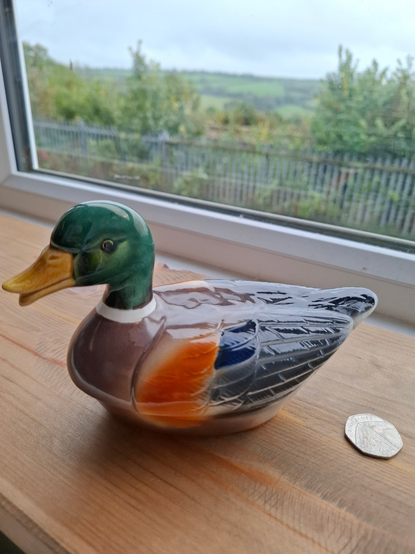 'Cunt' Upcycled Mallard Duck Trinket Pot