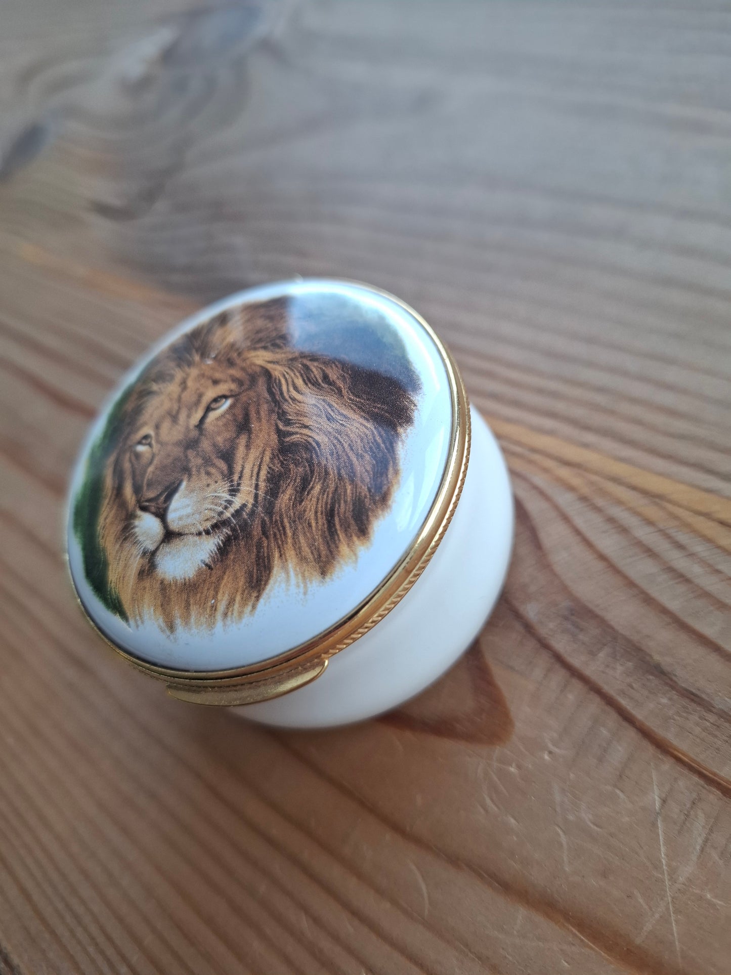 'Twat' Upcycled Enamel Lion Trinket Pot
