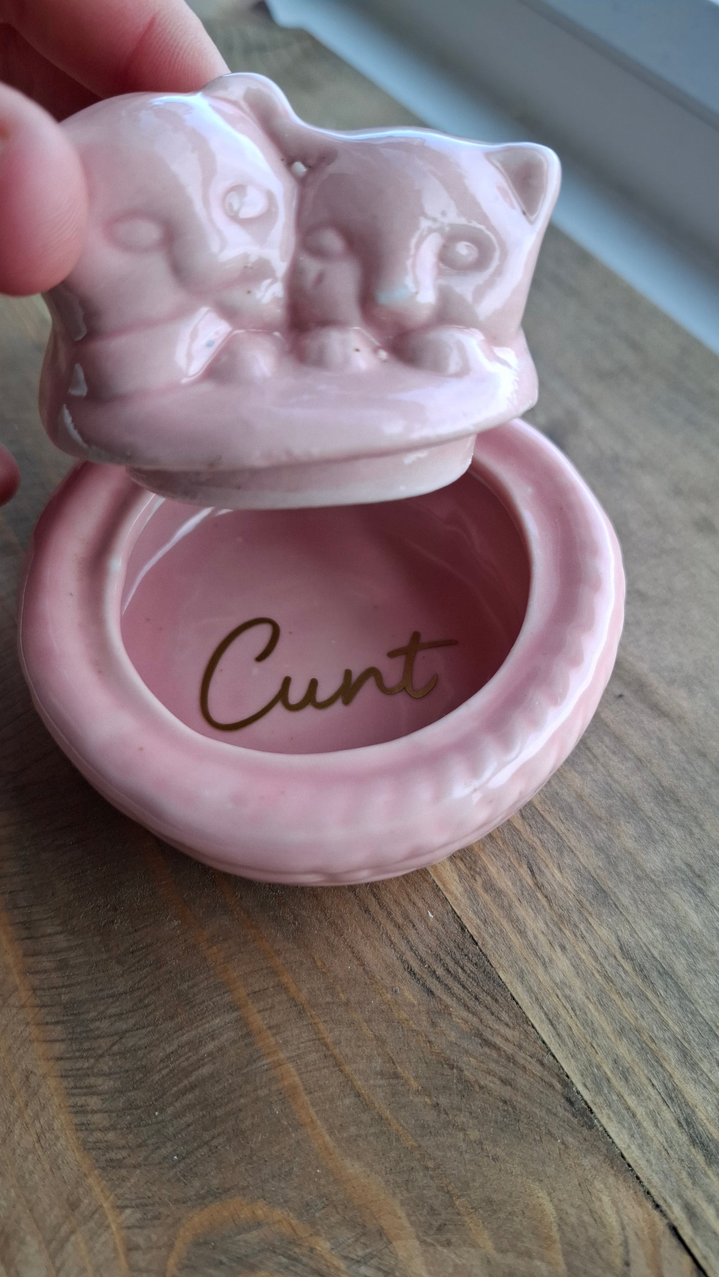 'Cunt' Upcycled Pink Cats in Basket Trinket Pot