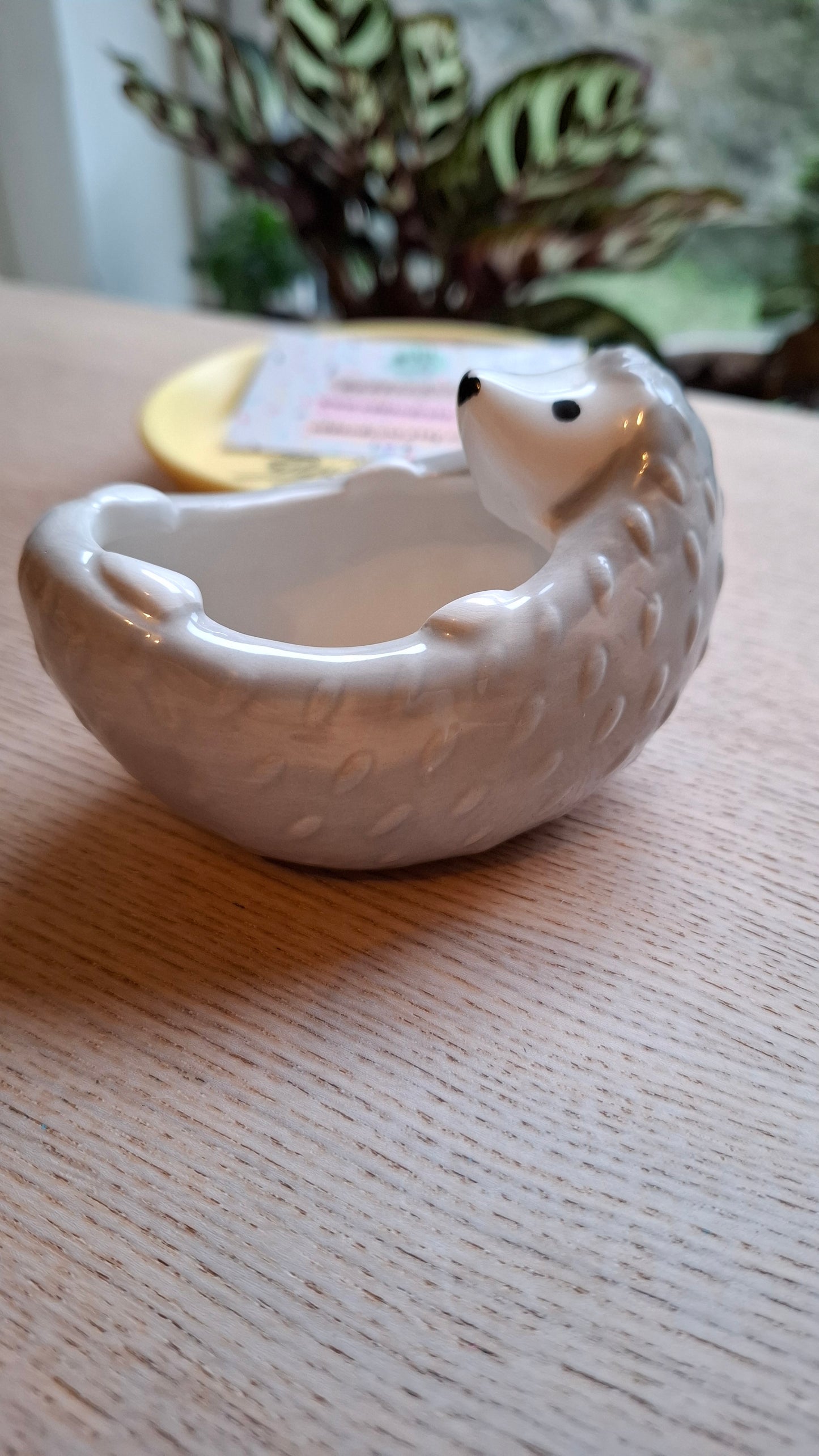 'Prick' Upcycled Grey Hedgehog Trinket Pot