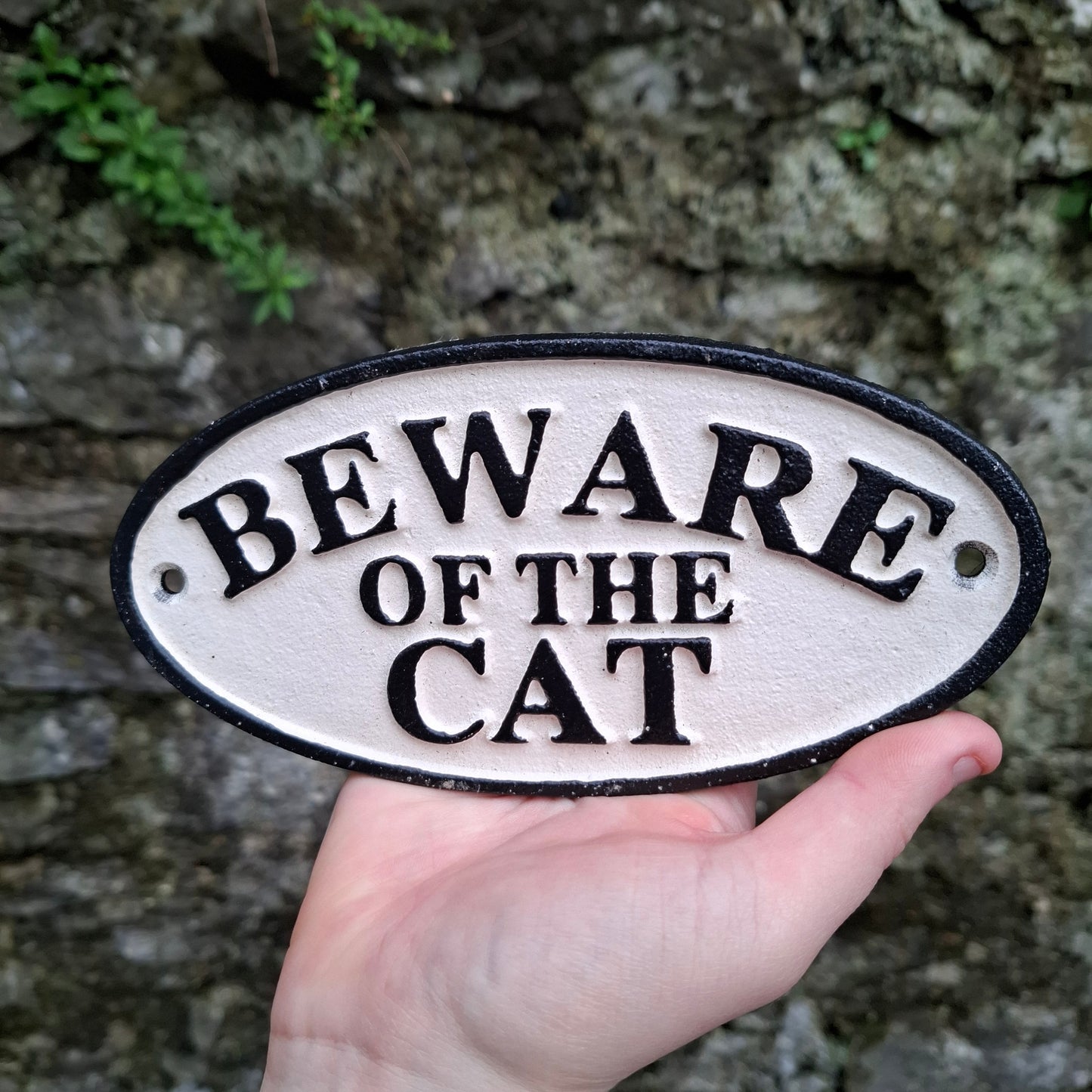 'Beware of the Cat' Outdoor Sign