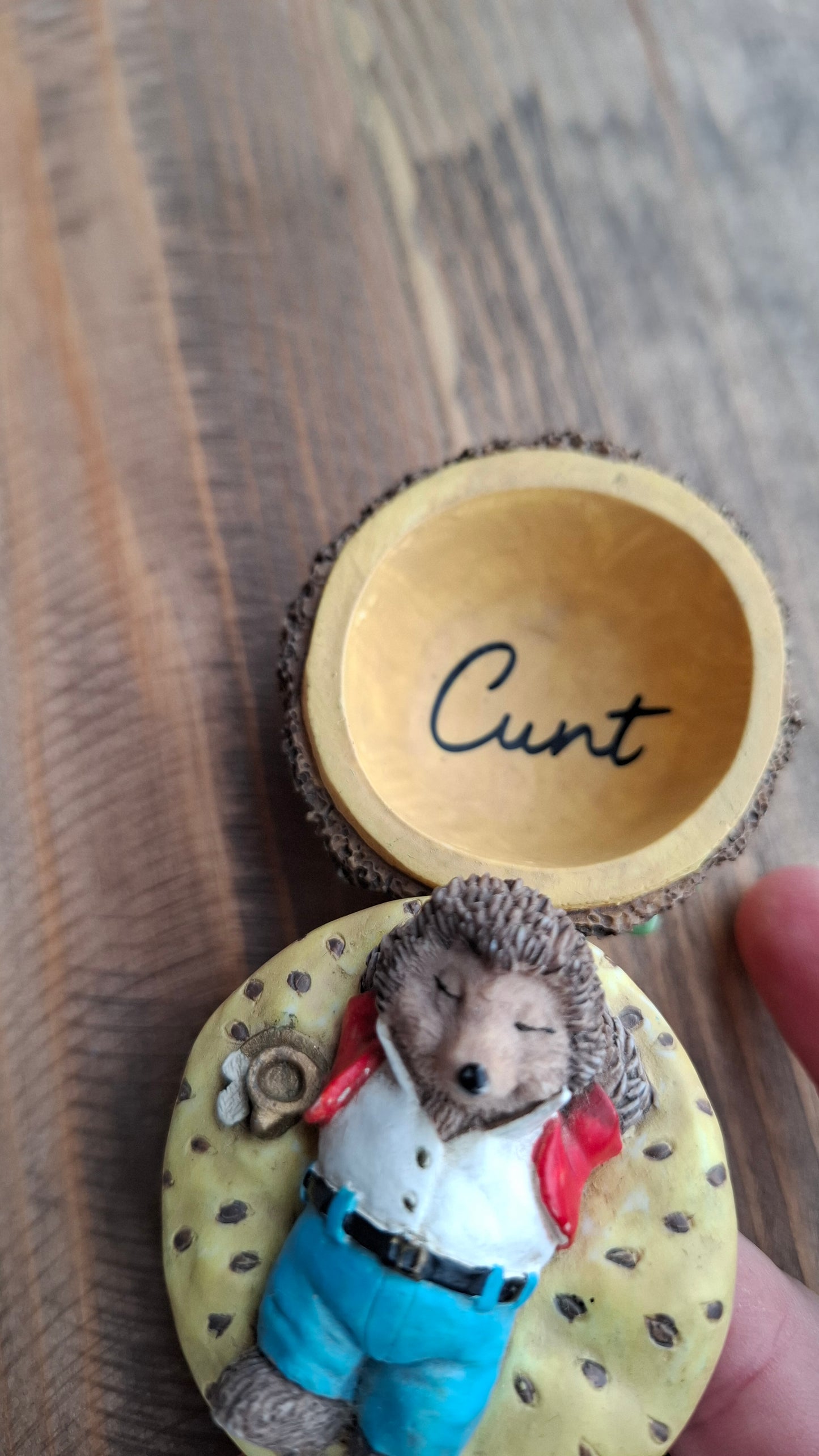'Cunt' Upcycled Small Hedgehog Burger Trinket Pot