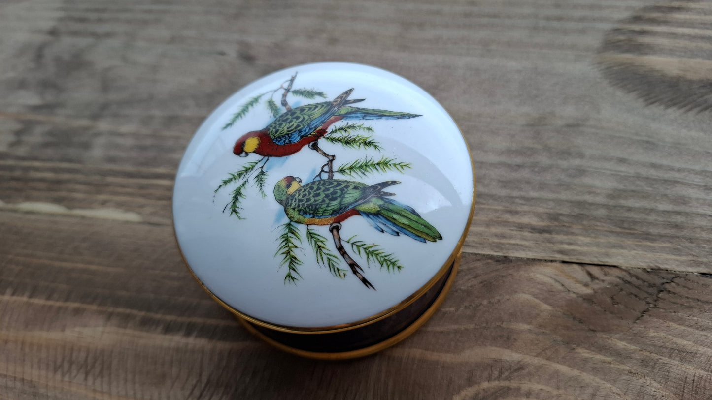 'Cunt' Upcycled Parrot Trinket Pot