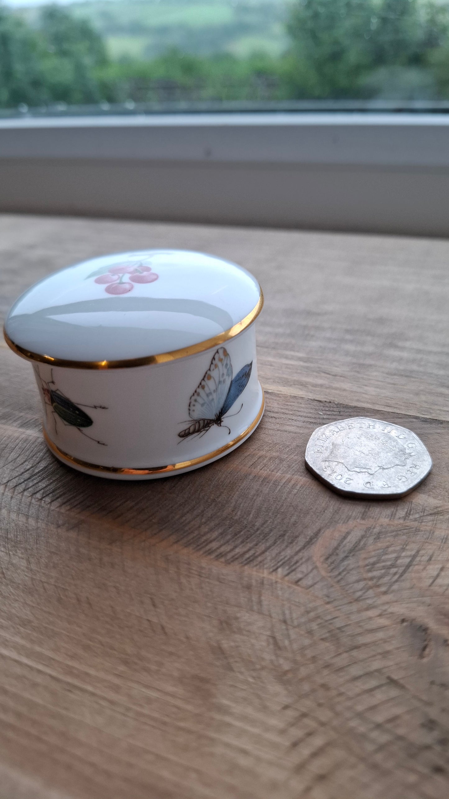 'Cunt' Upcycled Small Insect Trinket Pot
