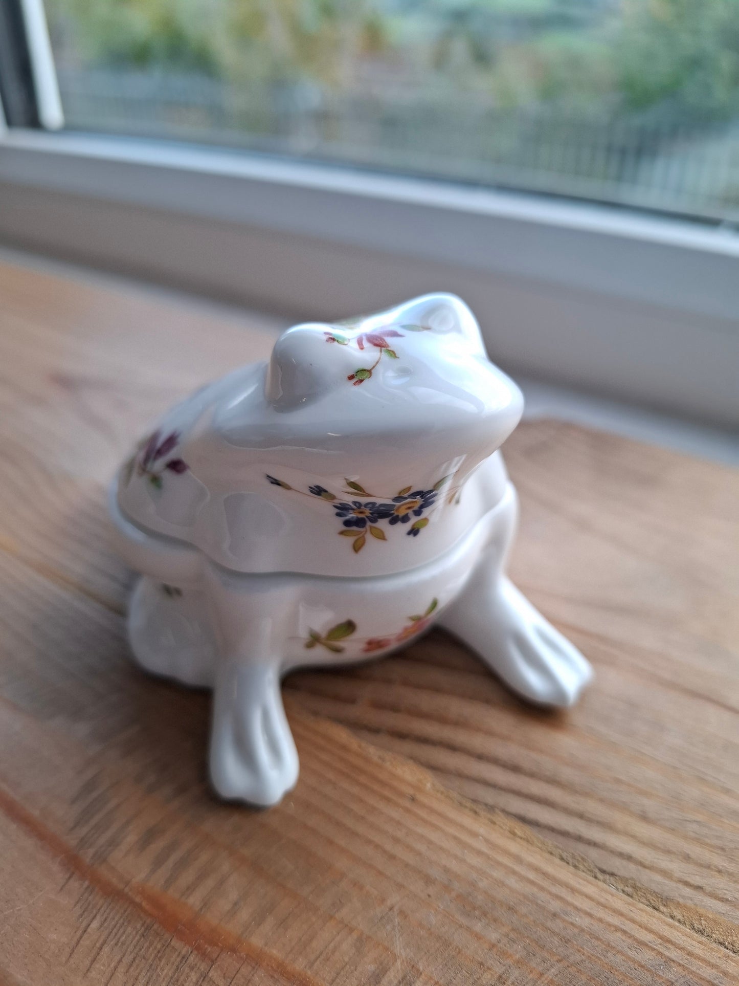 'Bum Hole' Upcycled Personalised Whimsical Frog Trinket Pot