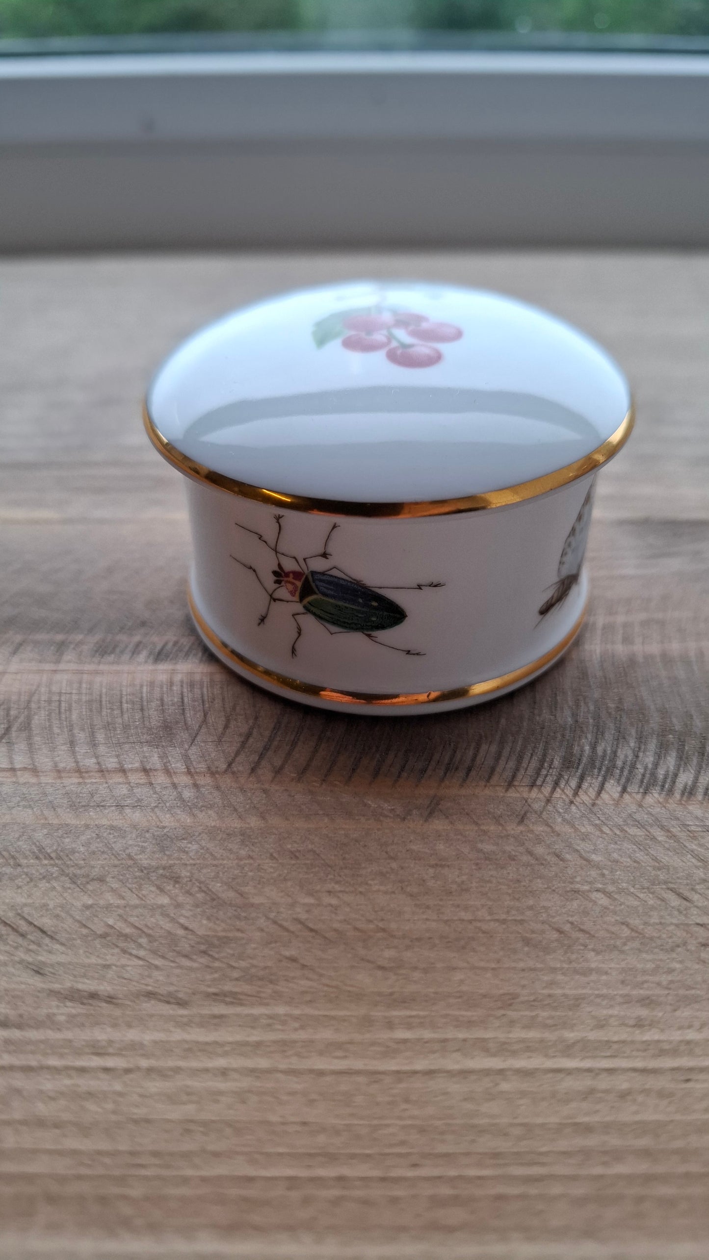 'Cunt' Upcycled Small Insect Trinket Pot