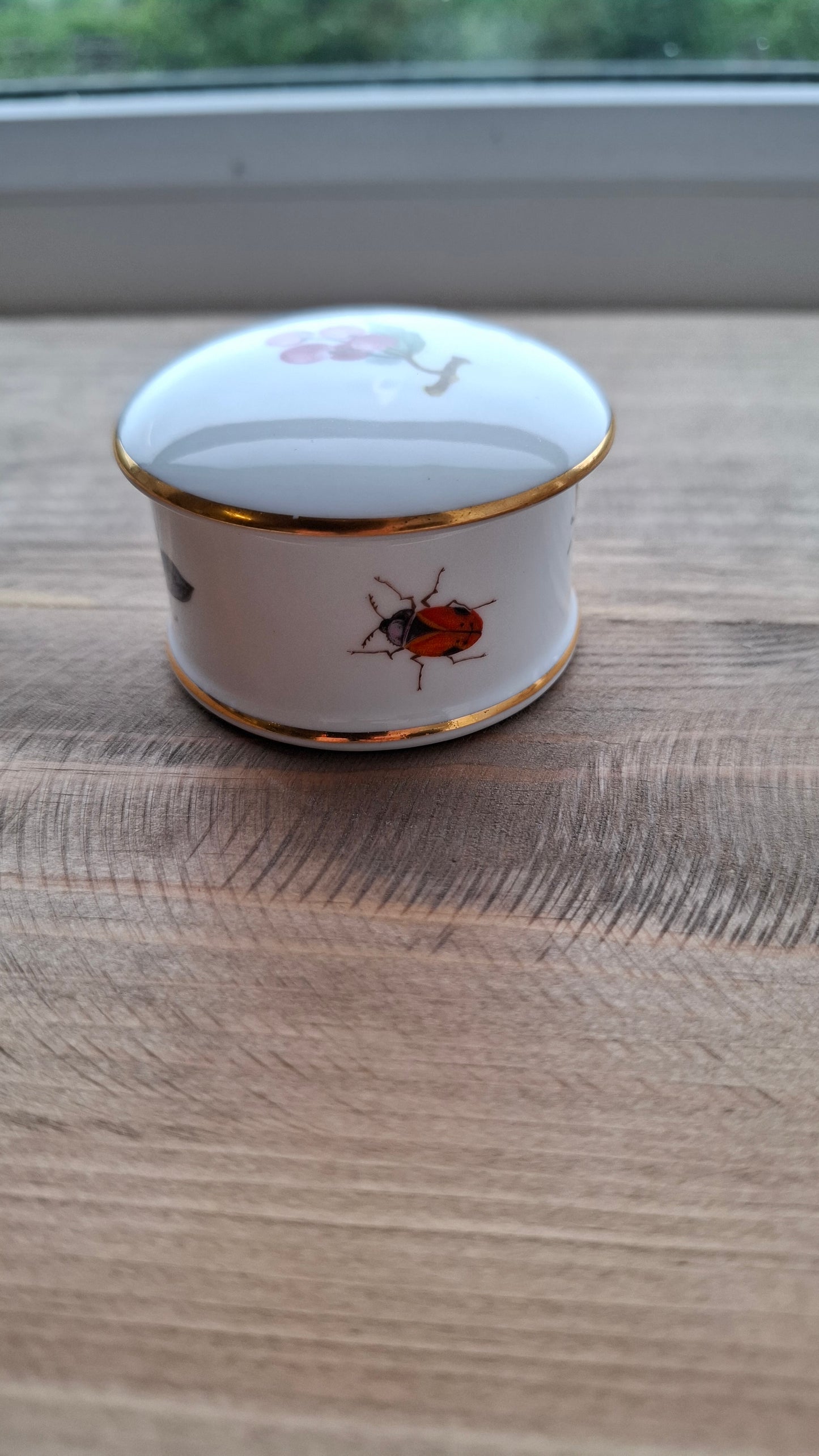 'Cunt' Upcycled Small Insect Trinket Pot