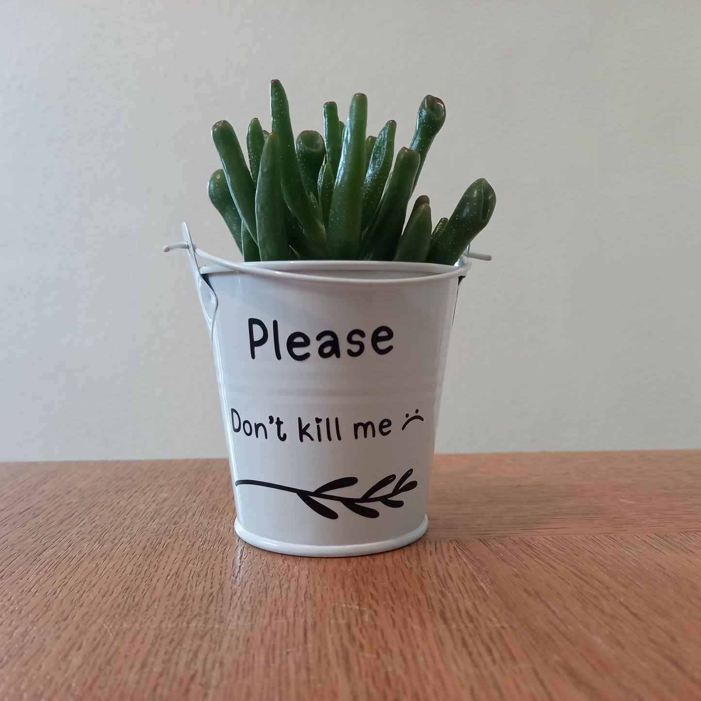 Depressed Plant Buckets