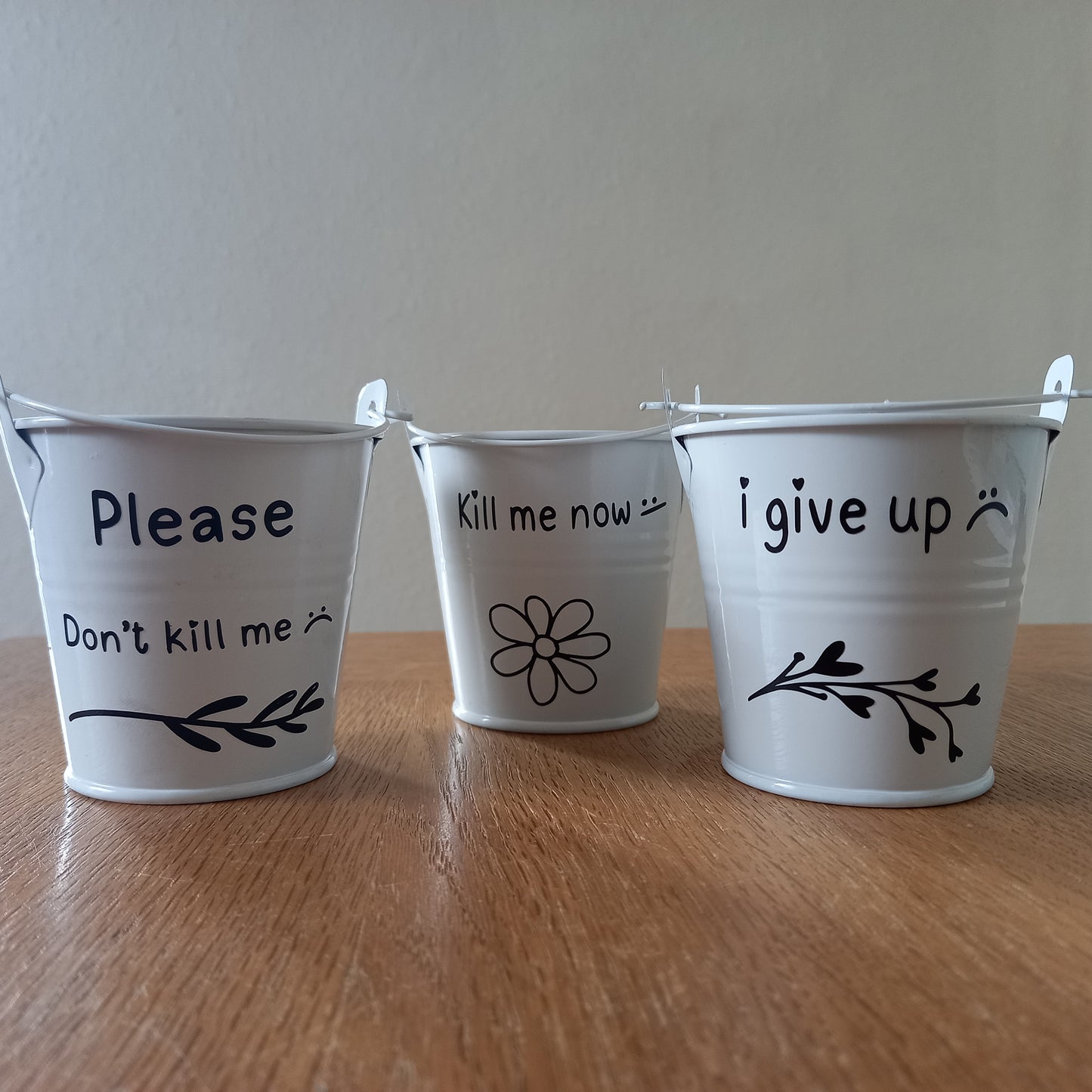 Depressed Plant Buckets