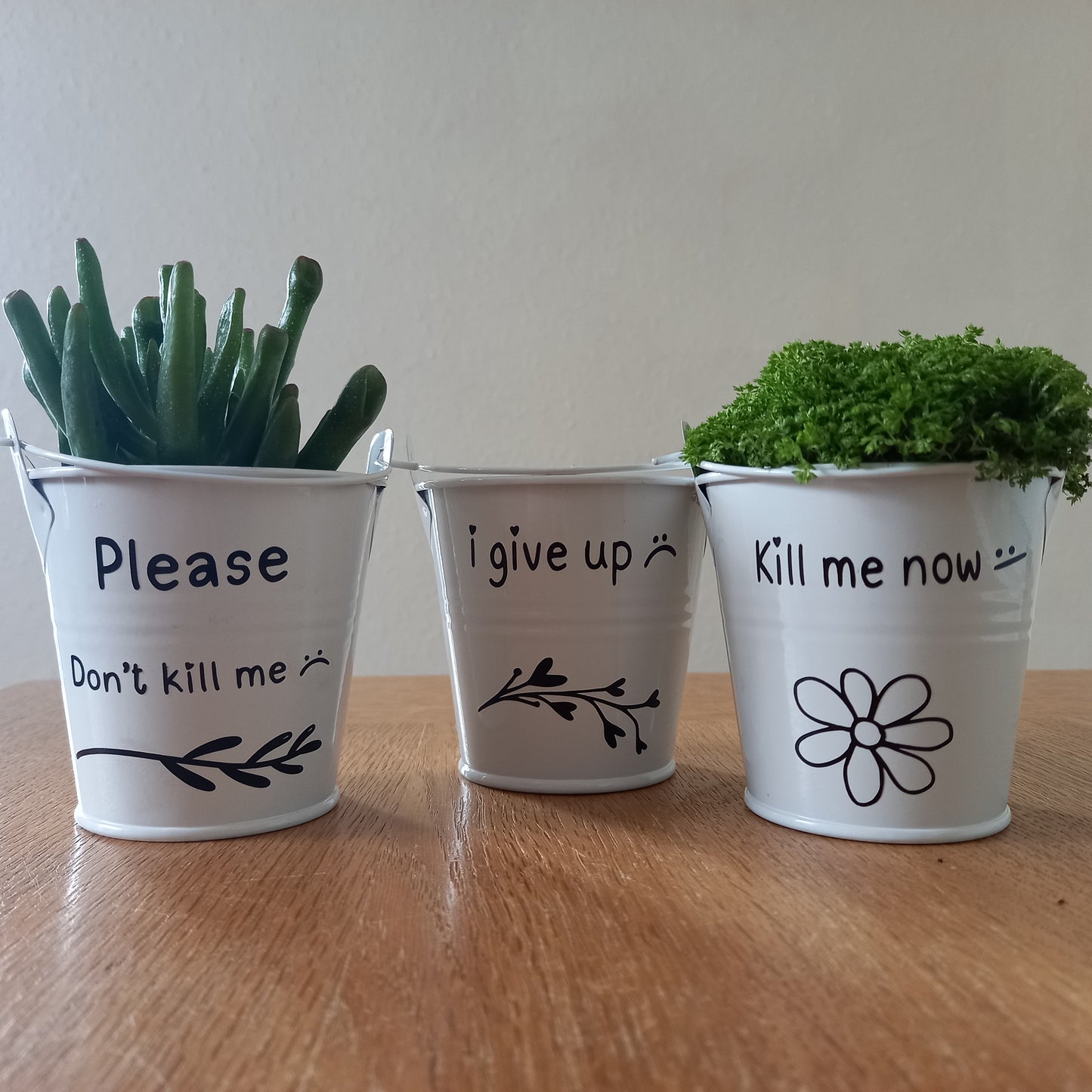 Depressed Plant Buckets