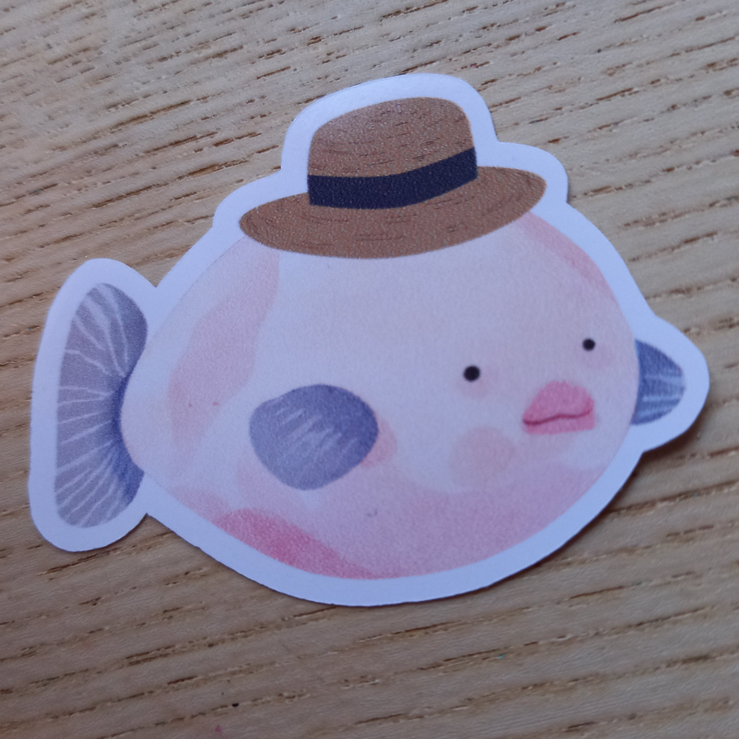 Mr Blobfish