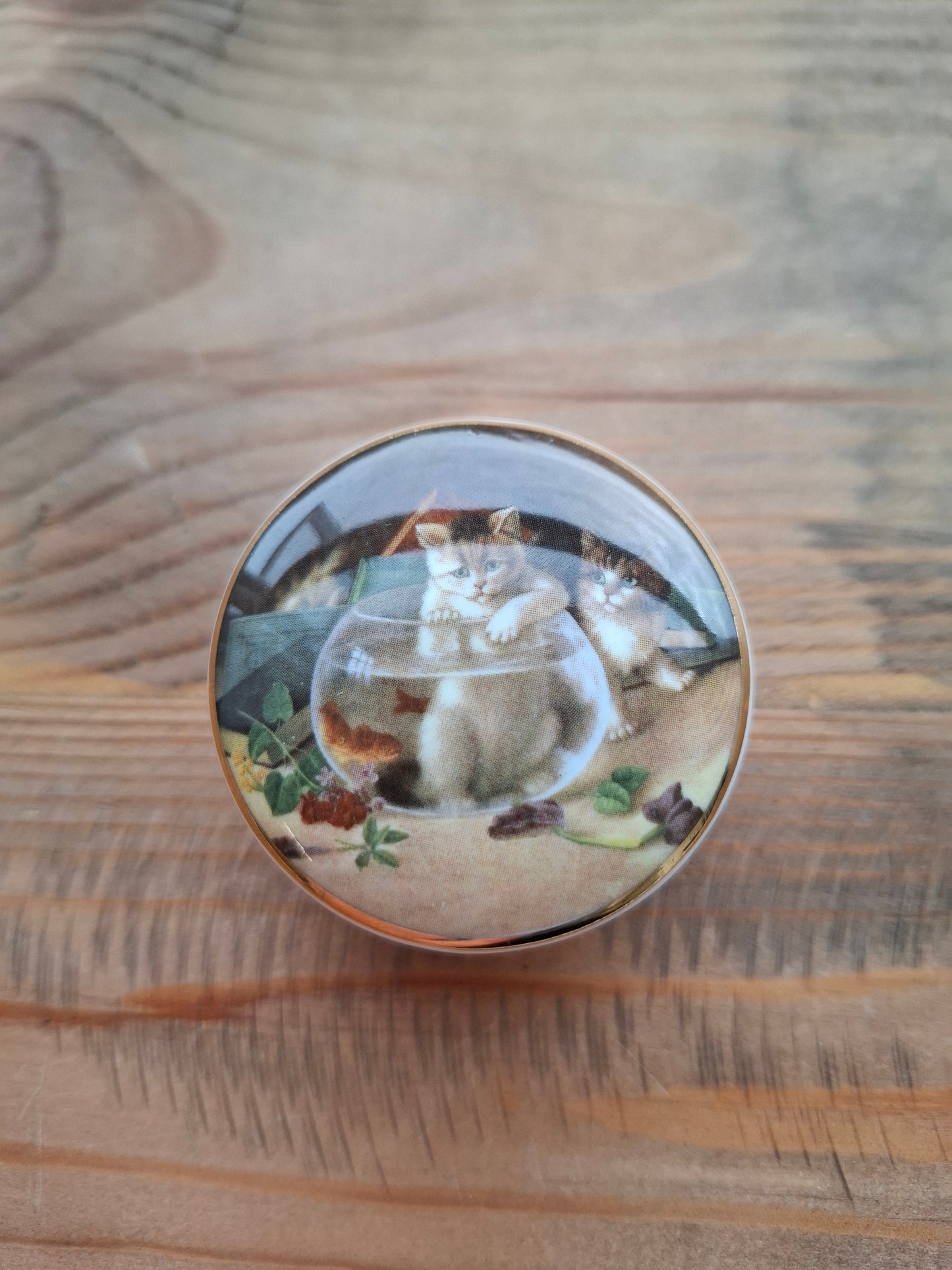 'Cunt' Upcycled Small Cat In A Fish Bowl Trinket Pot
