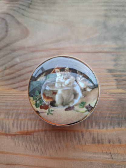 'Cunt' Upcycled Small Cat In A Fish Bowl Trinket Pot