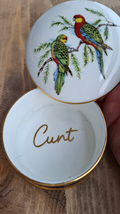 'Cunt' Upcycled Parrot Trinket Pot