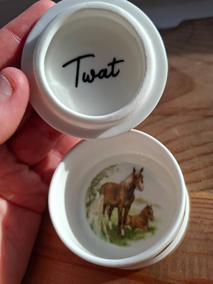 'Twat' Upcycled Small Horse Trinket Pot