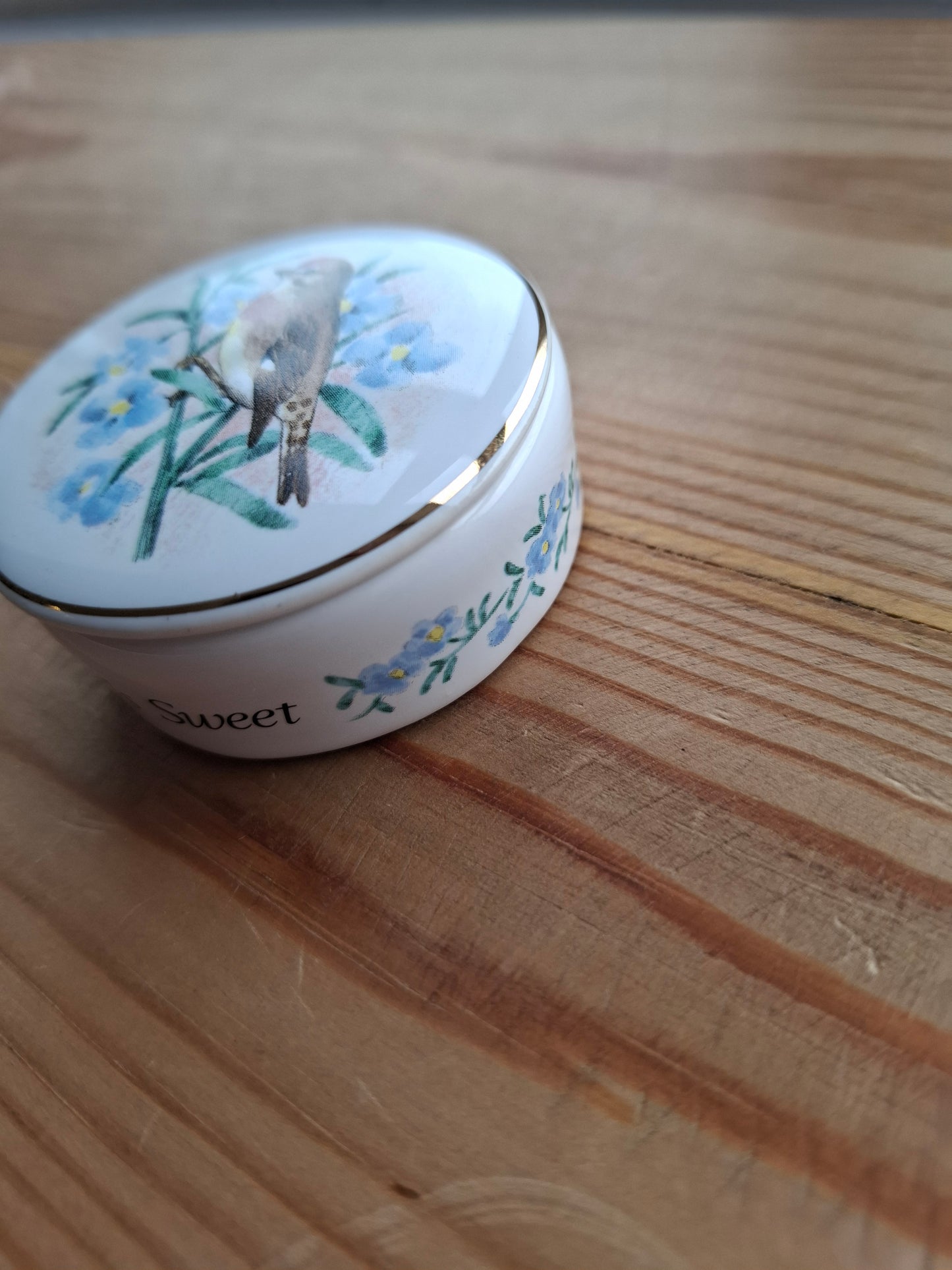 'Twat' Upcycled Bird (Life Is Sweet) Trinket Pot
