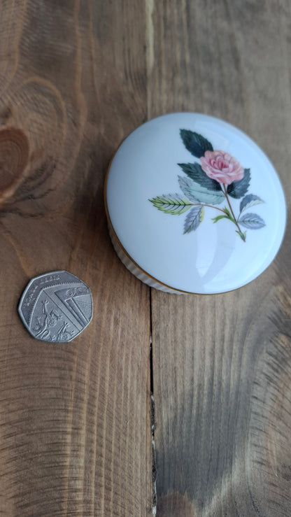 'Cunt' Upcycled Wedgwood Rose Trinket Pot