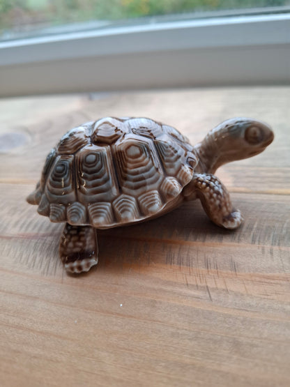 'Willy' Brown Wade Upcycled Tortoise Trinket Box