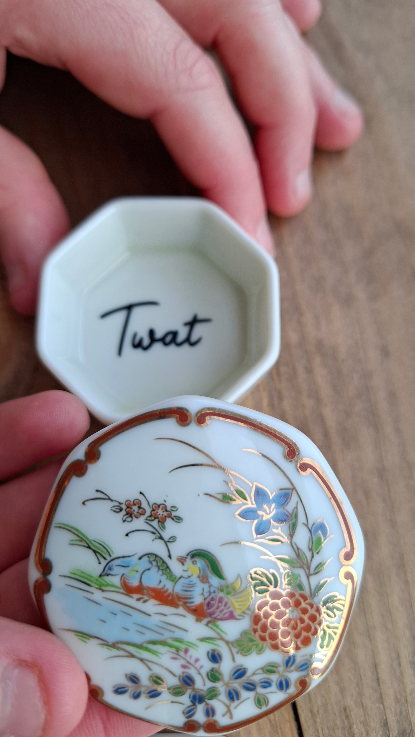 'Twat' Upcycled Duck Scenery Trinket Pot