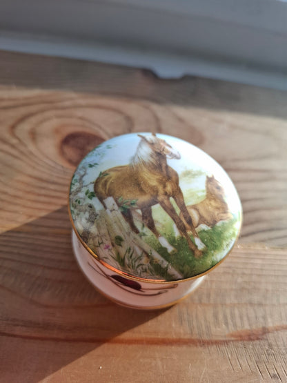 'Twat' Upcycled Small Horse Trinket Pot