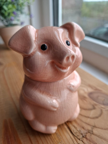 'Cunt' Upcycled Cute Crackly Pig Trinket Pot