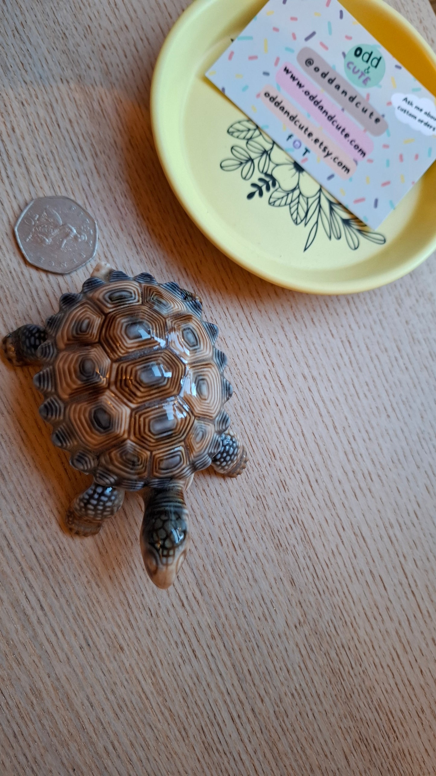 'Willy' Wade Upcycled Tortoise Trinket Pot