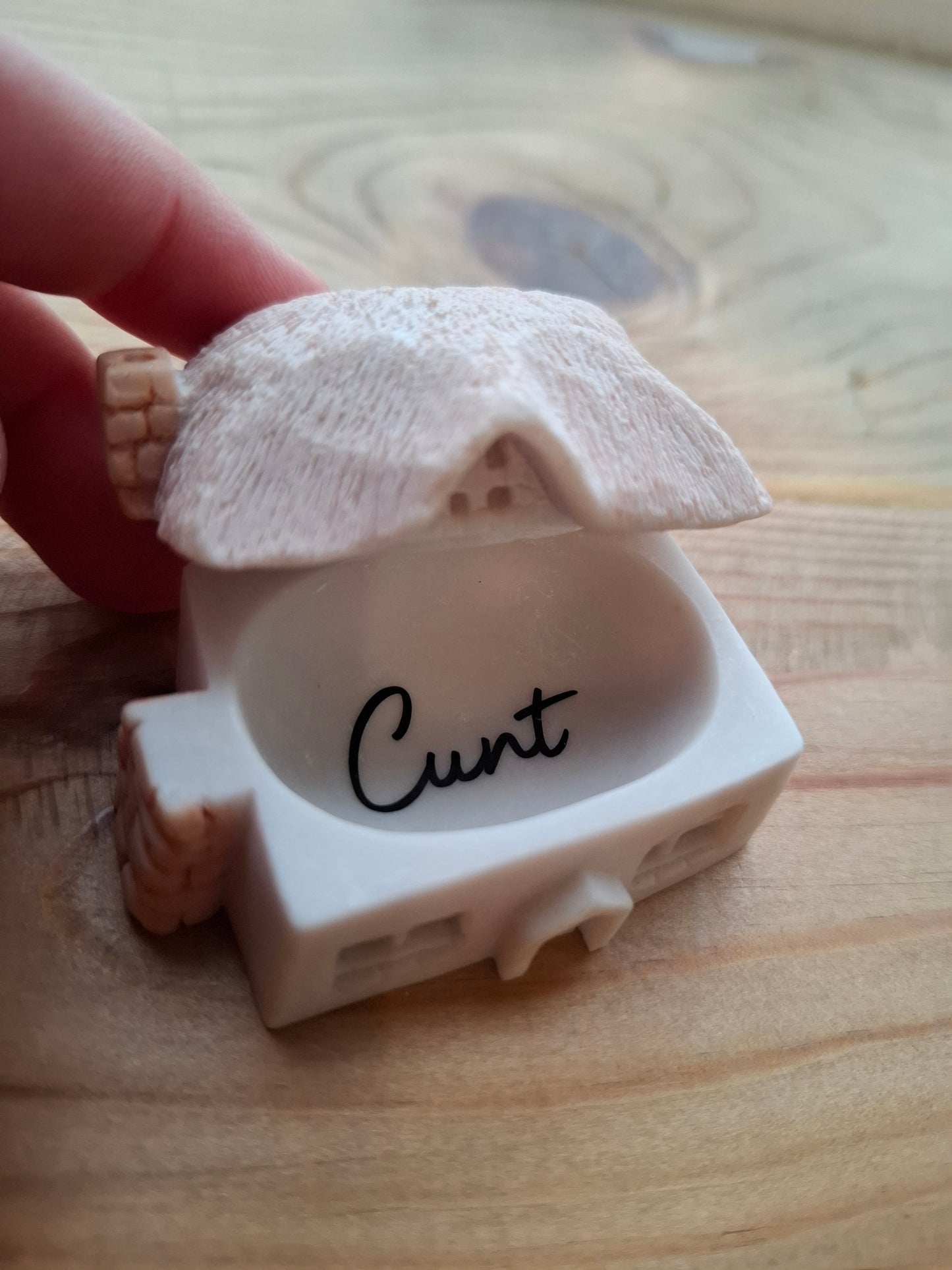 'Cunt' Upcycled TINY Pink Cottage Trinket Pot